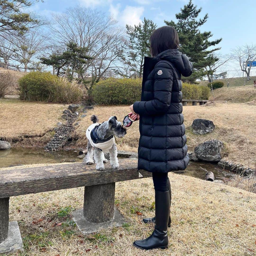 tomomi.7_のインスタグラム：「* *  ワンコの散歩コーデ🐶 モンクレールダウンが丁度いい。  * *  #moncler #モンクレール #モンクレール コーデ #ダウン #ダウンジャケット　 #monclerdown #今日のコーデ  #ミニチュアしシュナウザー #シュナウザー」