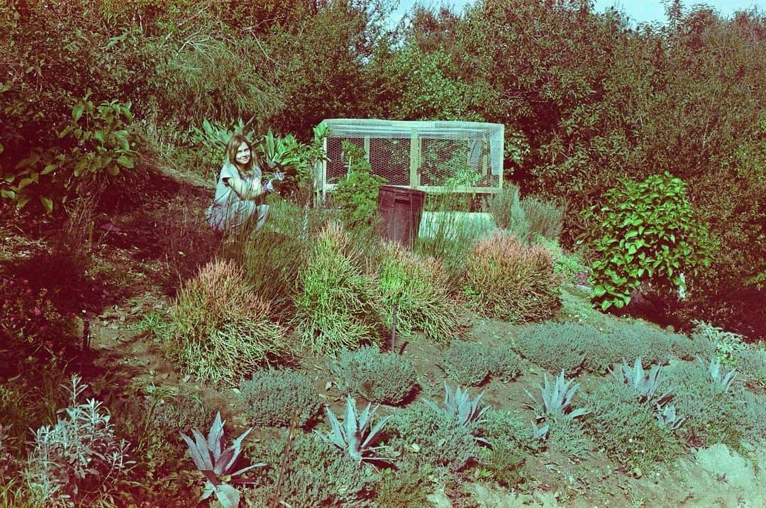 ローズ・マクアイヴァーのインスタグラム：「Happiest in the garden 🌱」