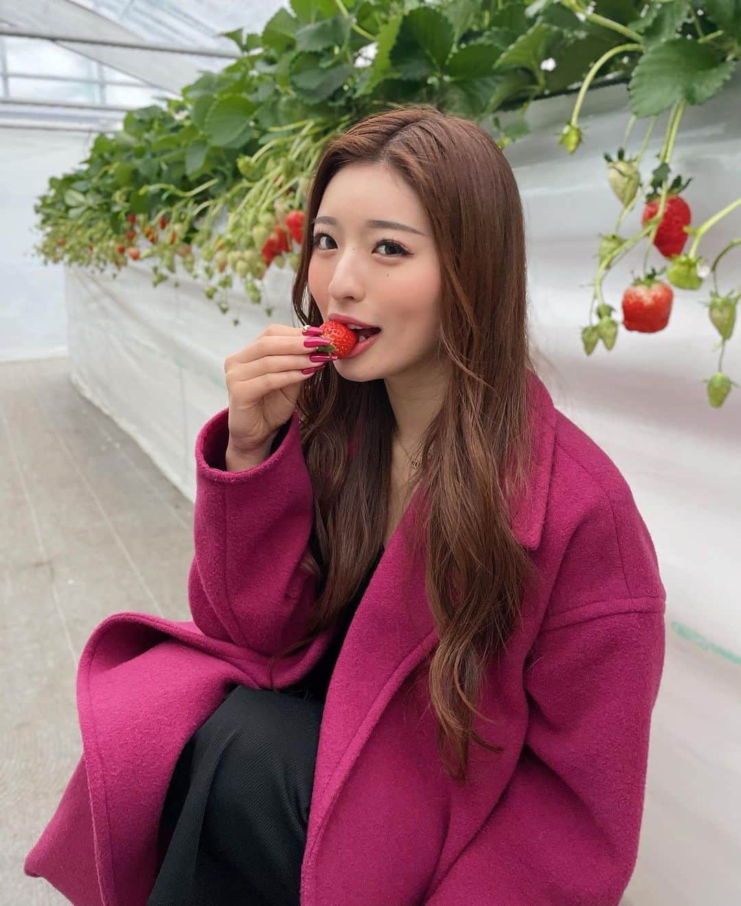 MIYABIのインスタグラム：「苺の季節だね🍓💖  農薬を一切使ってないから、そのままペロリ😋  酸味もなくて美味しかったぁ🫶  @strawberryfarm_luana_2021 さんありがとう御座いました🙏  #いちごがり🍓  #サイバージャパン」