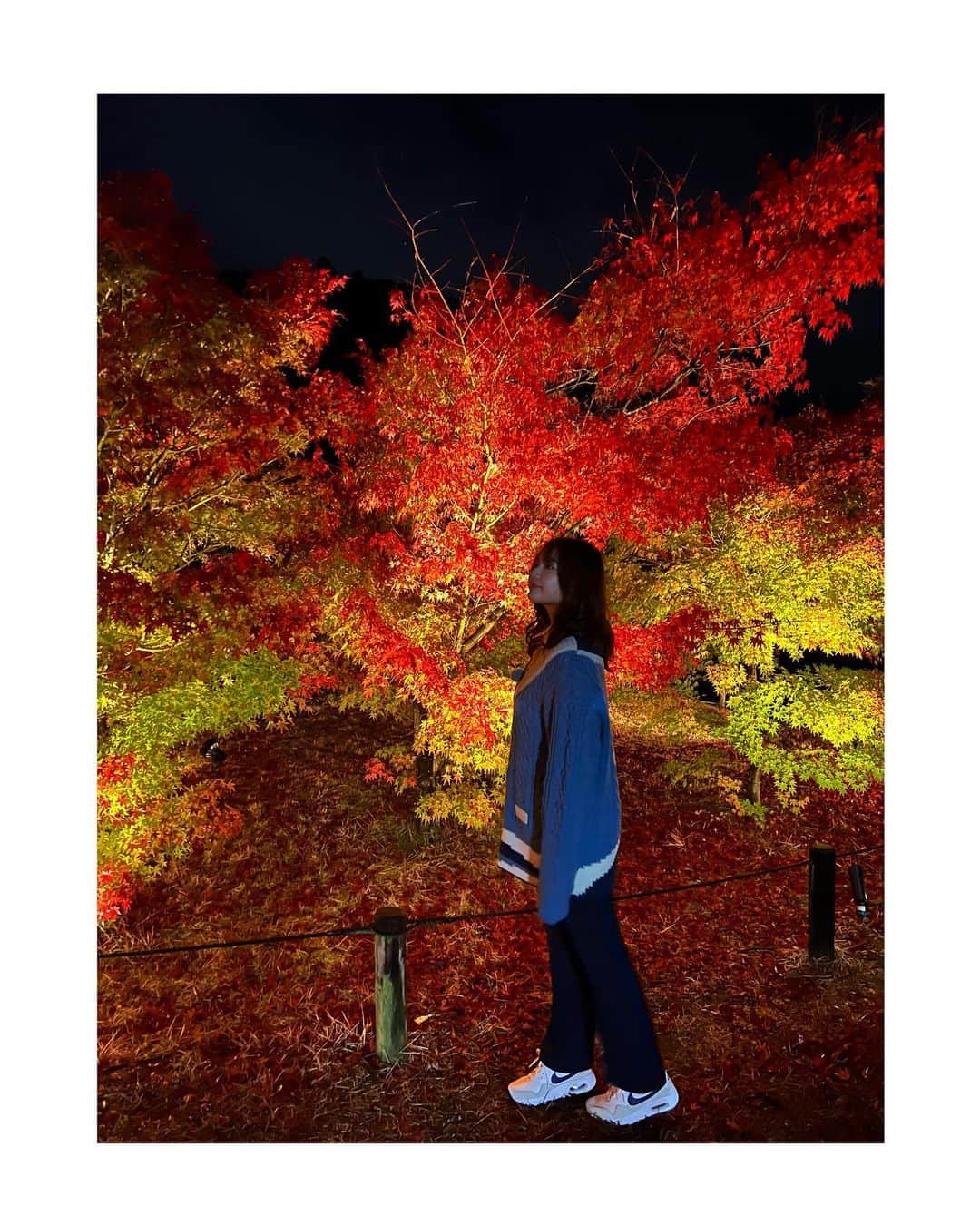 のインスタグラム：「🍁  『未完のいわき 五感を満たす、いわき旅  Vol.3～ヤングトラベラー編～』 が、YouTubeにて公開されました*ﾟ  今回は私が一人でいわき旅を満喫してきました！ 今までたっくさんいわきの魅力を見つけて来ましたが、まだまだ知らない素敵な魅力がありそうです😳  回数を重ねる毎に、いわきがさらに大好きになっていきます🤤💓  ぜひぜひYouTubeでご覧ください😉🤲🏻   #未完のいわき」