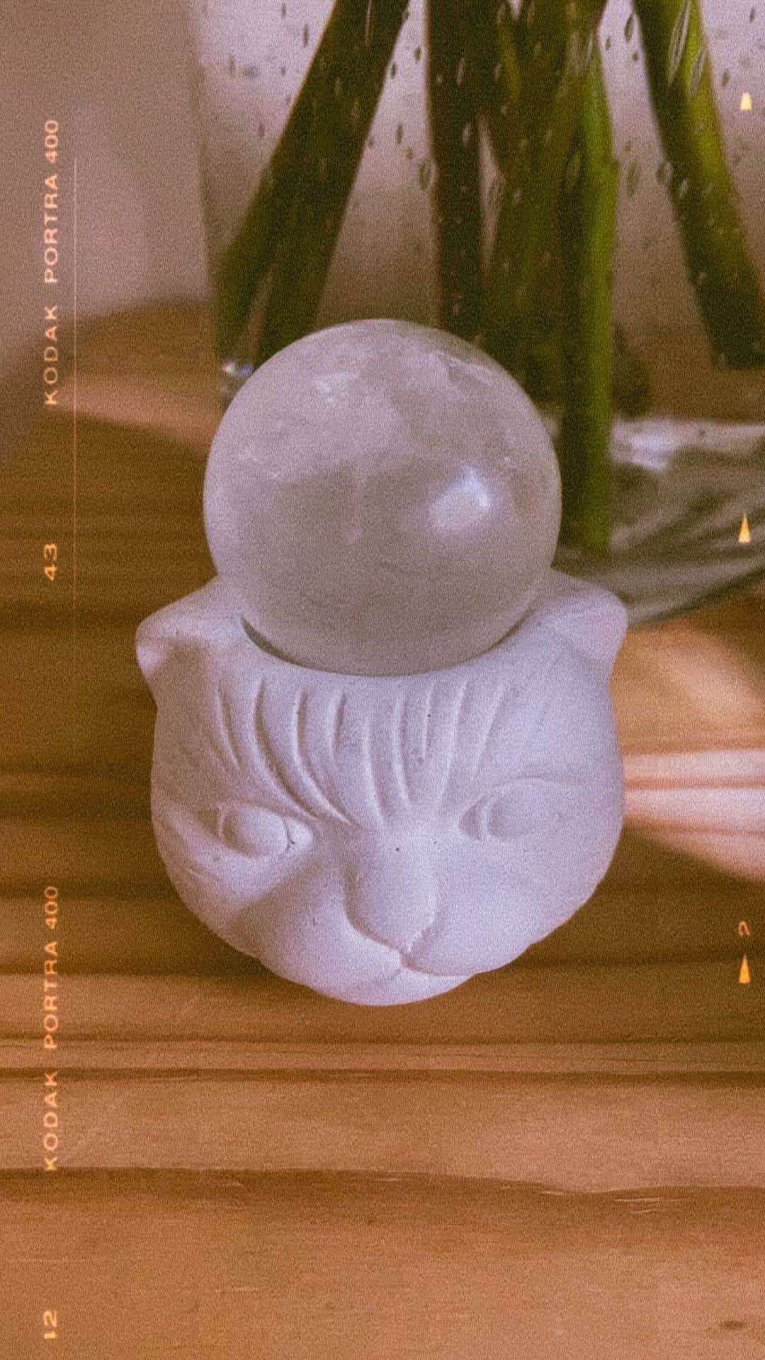 OLIVIAのインスタグラム：「Connecting with flowers indoor today. I’ve been missing them. 🍄🌿🌈💘💖」