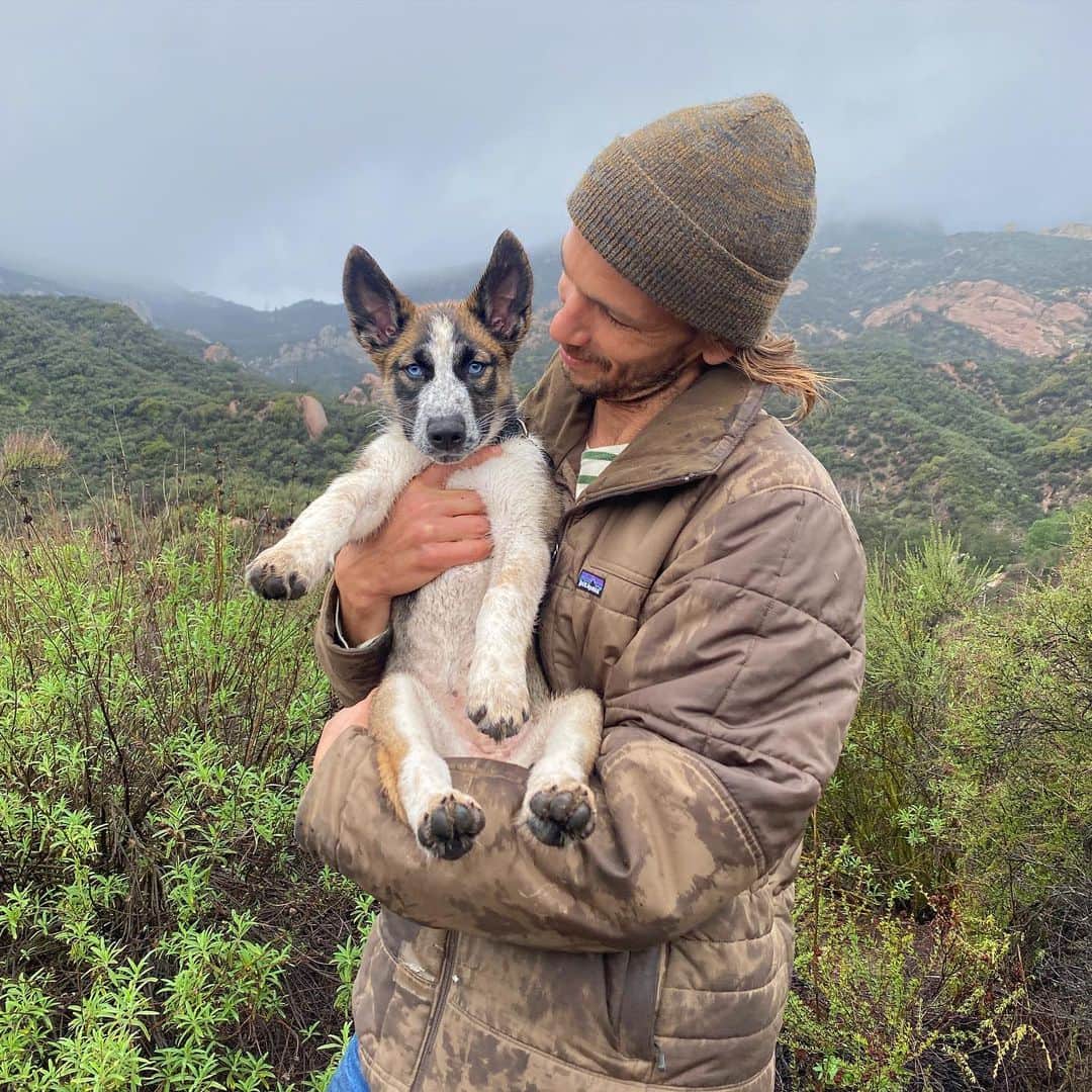 ボニー・ライトのインスタグラム：「Life lately with our new adopted pup Ruby Roo 🐕 she’s obsessed with her big brother Billy Blue 🥹🥹」