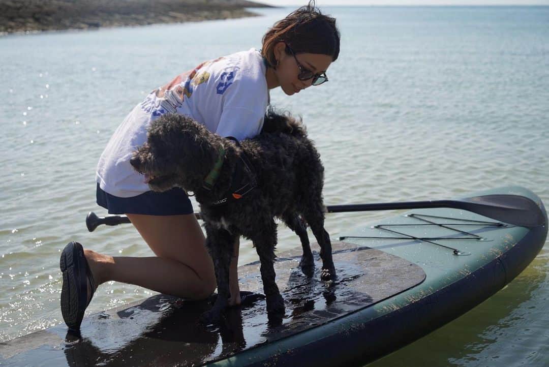 ANNA のインスタグラム：「今日はずっと受けたいなと思っていたジャパンケンネルクラブの愛犬飼育管理士の講習会と試験を受けてきました🐕‍🦺  動物愛護の為の法律や飼育管理、健康管理、犬の繁殖学など...  日本の動物保護に関する国際的評価を改善する為、法律を制定したのが1973年。 そこから法律改正が何度か行われてきた経緯などを学びました。  ペットに対する日本の法律、改めて見てもそもそも生体販売に反対の私としては、うーーん...と感じてしまう所も。。🤔💭  それでも少しずつ日本のペットに対する価値感は変わってきてるんだなと。もっともっと良くなるといいな☺️🫶  勉強になったいい一日でした💕 本当はまだまだ講義聞きたかった😆 合否はまた後日📝  #JKC #ジャパンケンネルクラブ #愛犬飼育管理士 #女の子ママ #新米ママ #赤ちゃんと犬のいる暮らし #supdog #doglover」