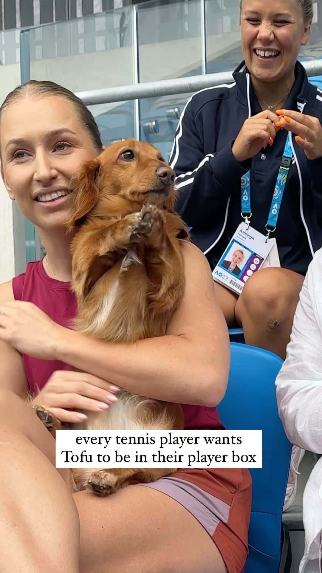 ダリア・ガブリロワのインスタグラム：「#tennis #dachshund #ausopen23」