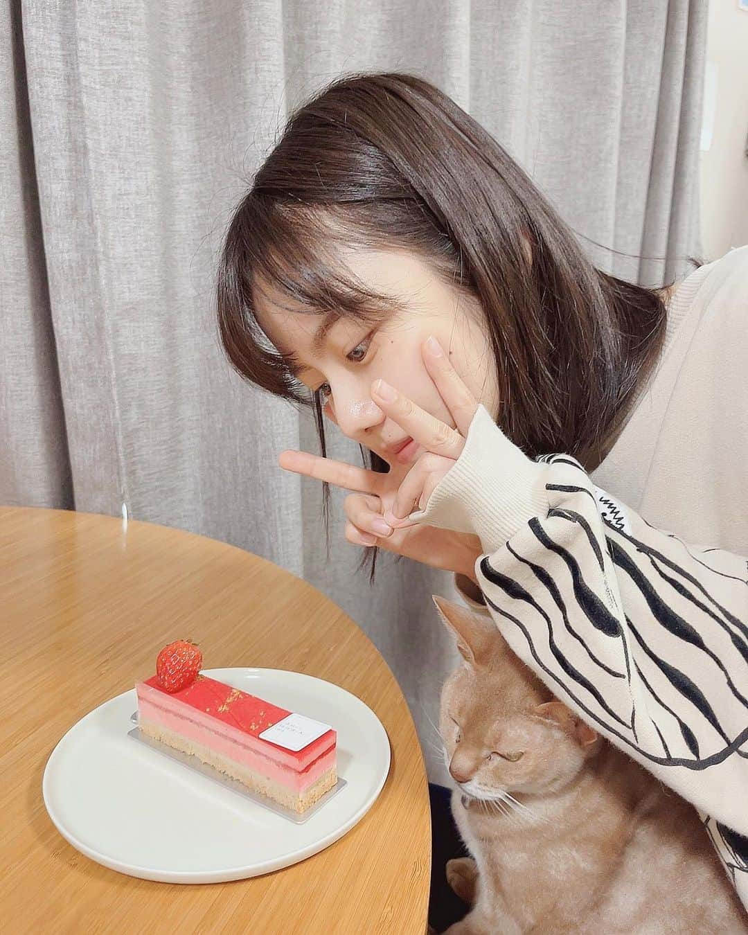 松風理咲さんのインスタグラム写真 - (松風理咲Instagram)「⁡ ⁡ 22歳になりました！ メッセージをくださったみなさま、 ありがとうございます🤍  お姉ちゃんがケーキを買ってきてくれました🎂🍓 美味しかった😋」1月17日 17時55分 - risaki_matsukaze_official