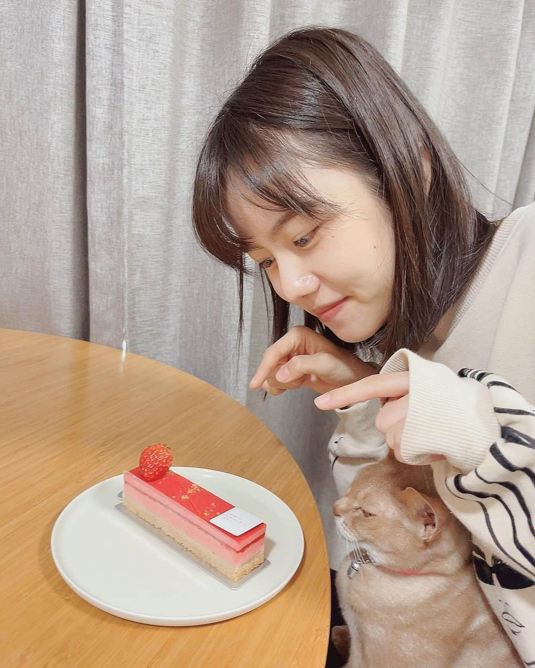 松風理咲さんのインスタグラム写真 - (松風理咲Instagram)「⁡ ⁡ 22歳になりました！ メッセージをくださったみなさま、 ありがとうございます🤍  お姉ちゃんがケーキを買ってきてくれました🎂🍓 美味しかった😋」1月17日 17時55分 - risaki_matsukaze_official