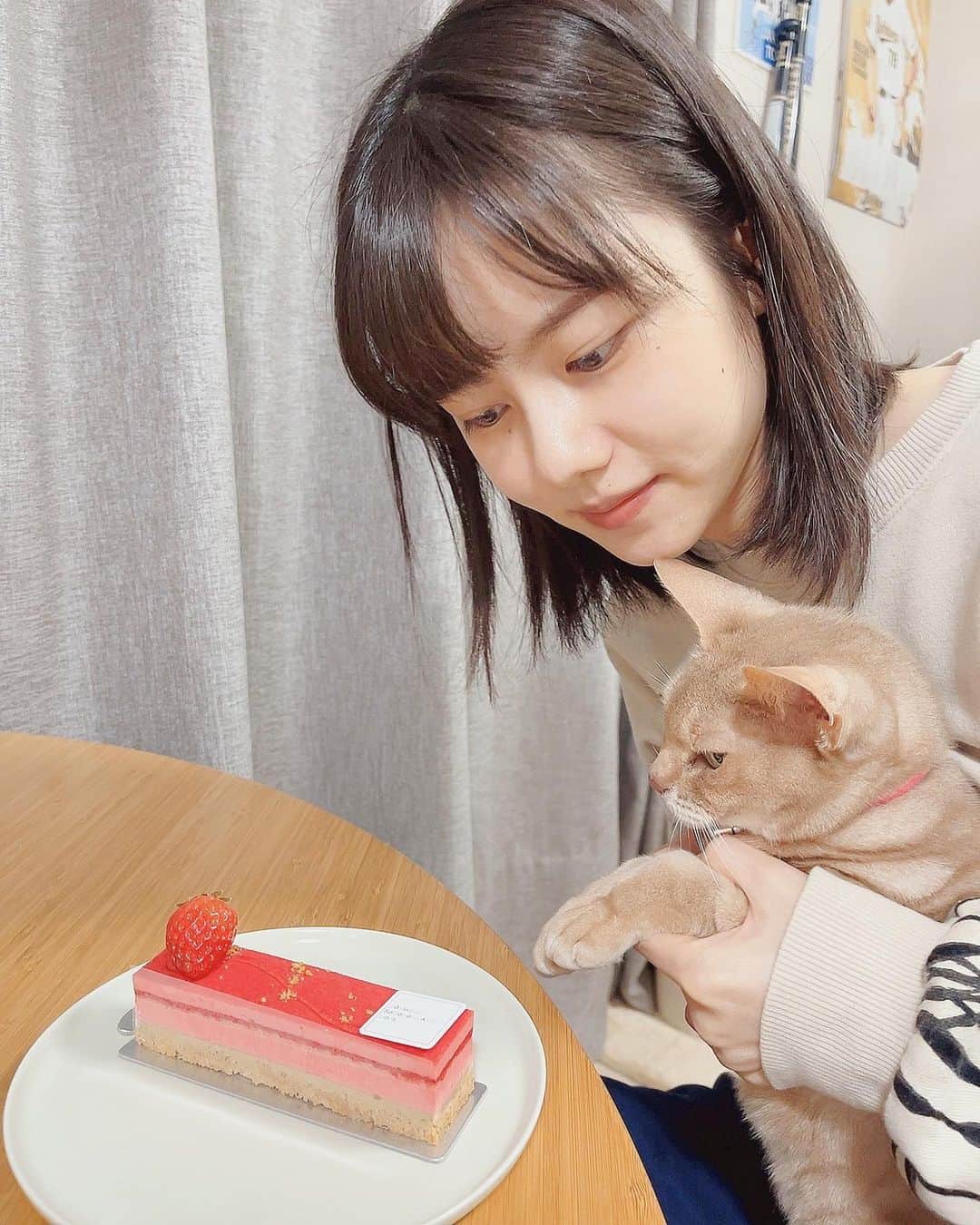 松風理咲のインスタグラム：「⁡ ⁡ 22歳になりました！ メッセージをくださったみなさま、 ありがとうございます🤍  お姉ちゃんがケーキを買ってきてくれました🎂🍓 美味しかった😋」