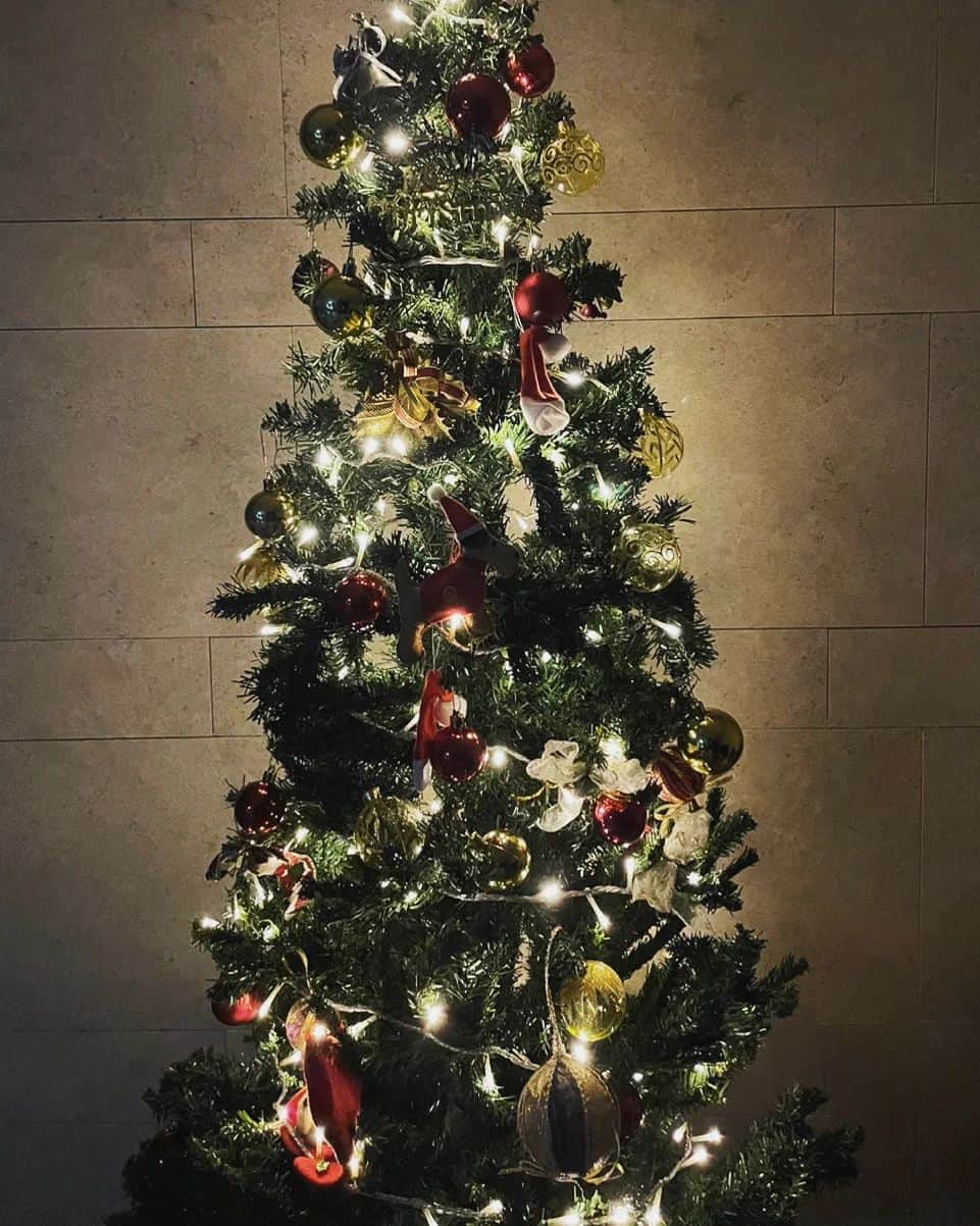 阿部美穂子さんのインスタグラム写真 - (阿部美穂子Instagram)「🌆 クリスマスの空 ツリーの飾り付けは次男🙋‍♂️ 💮💯 #금옥당#あんぽーね#kingsberry #夜空」1月17日 18時33分 - miiko904