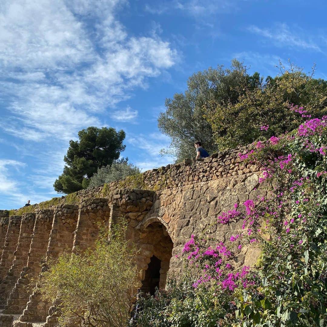 Tiaraさんのインスタグラム写真 - (TiaraInstagram)「#グエル公園 たくさん歩いて来ました🚶‍♀️  地図がなかったから 見どころを全部ちゃんと見られたのか？ 未だに謎です笑  いいお天気で日光浴も完璧😎 この日の歩数は約17000歩。 良い運動になりました☺️  #スペイン旅行 #スペイン観光 #バルセロナ旅行 #バルセロナ観光 #バルセロナ #バルセロナ旅行記 #ガウディ #世界遺産 #世界遺産めぐり #高台からの景色」1月18日 1時53分 - kiyoedayo