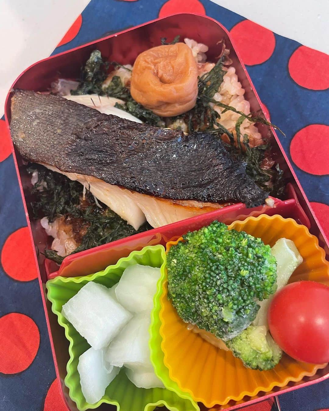 小川菜摘のインスタグラム：「お稽古弁当🍱😋 おかか海苔ご飯の上に銀ダラの西京焼き🐟 大根の甘酢漬けとブロッコリー🥦プチトマト🍅 #お稽古弁当」
