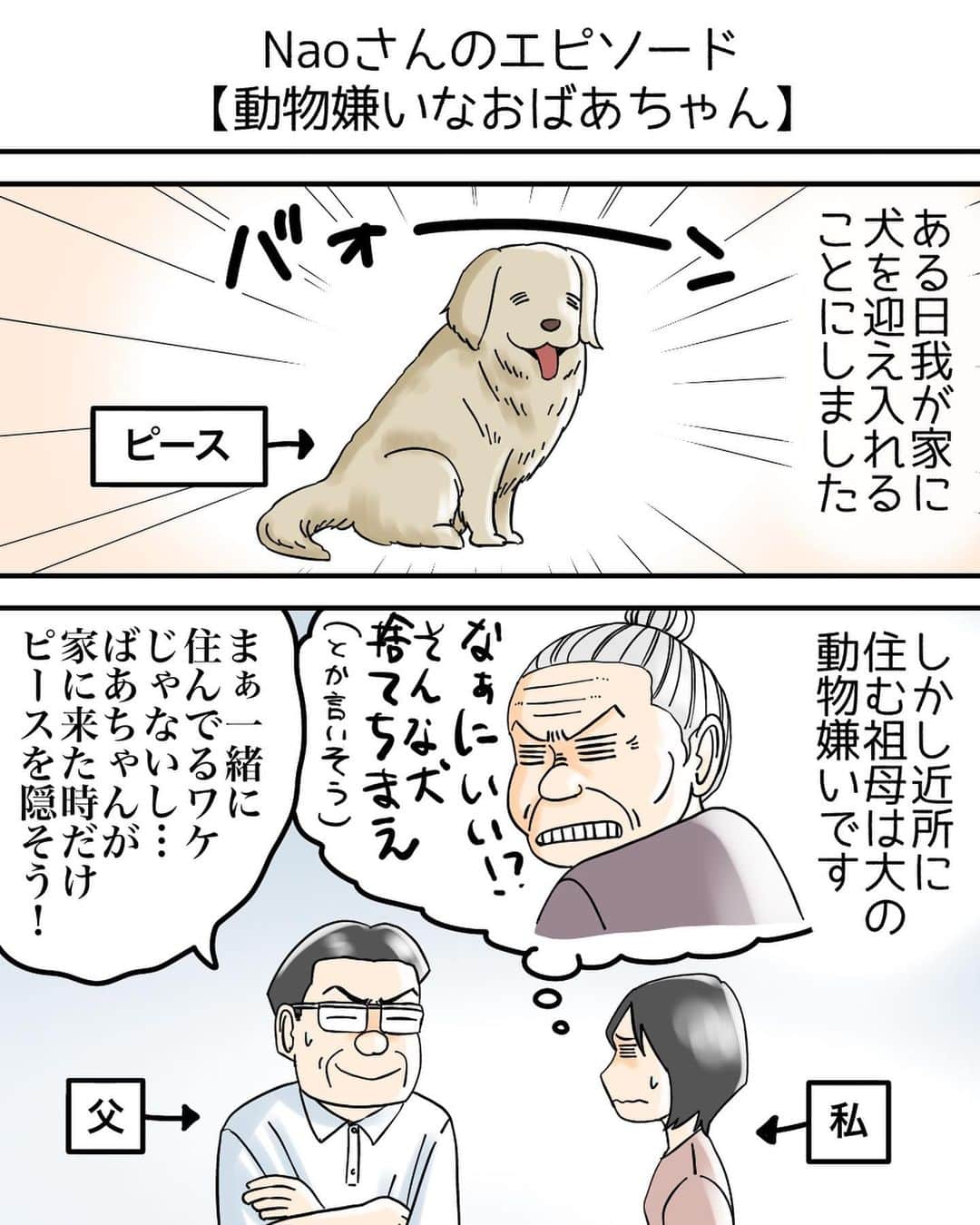 のインスタグラム：「教えてないのにピンポイントでそこにとどまるって不思議ですよね。  なんでこういうことが起こるのか？  やっぱりおばあちゃんが呼んでたと考えるしかないですよね。  そんなピースちゃんもおばあちゃんが亡くなってから10年後、お空に旅立ったそうです。  苦しむこともなく穏やかな最期だったとのことで、おばあちゃんが優しく連れて行ってくれたのかなぁとNaoさん家族は語っているそうです。  Naoさんからのお話は以上になります。  @babareo2 のプロフィール欄かストーリーズからブログへ飛ぶと一話先読み出来ます💁‍♂️ ・ ・ #漫画 #まんが #マンガ  #インスタ漫画  #エッセイ漫画」