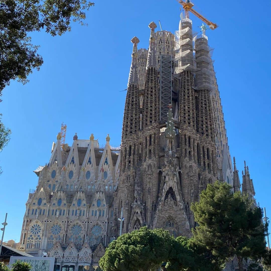 Tiaraのインスタグラム：「バルセロナのシンボル⛪️ サグラダファミリア✨  1882年に着工 未だ工事が続けられてて 2026年に完成予定だそう。 (COVIDによるロックダウン、チケット収入の減少により工事が遅れて完成も遅れそうな見込み😢)  それでも144年以上かけて完成させられたら ガウディさんも喜ぶね☺️  中のステンドグラス、柱、天井 全てが綺麗な芸術で、真新しく見えました。  完成したらまた見学に行きたいな♡  #バルセロナ #バルセロナ旅行 #バルセロナ観光 #サグラダファミリア #サグラダファミリア内部 #世界遺産の街 #世界遺産巡り #ガウディ建築  #スペイン旅行」