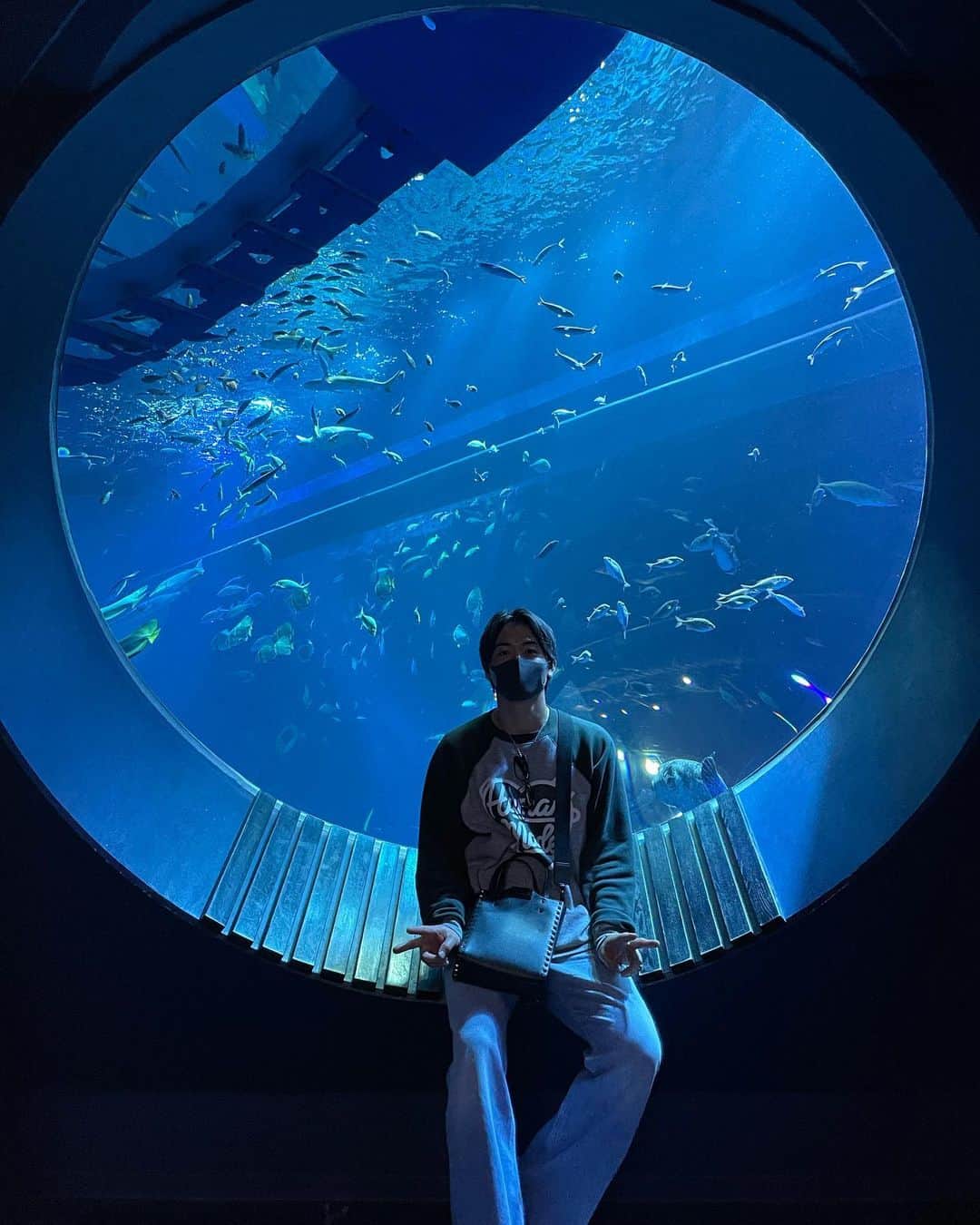 船越涼太のインスタグラム：「🐠🐟🐡🦭🐬🐧🐊  . #aquarium#水族館 #humanmade #acnestudios #valentino #nike #chromehearts」