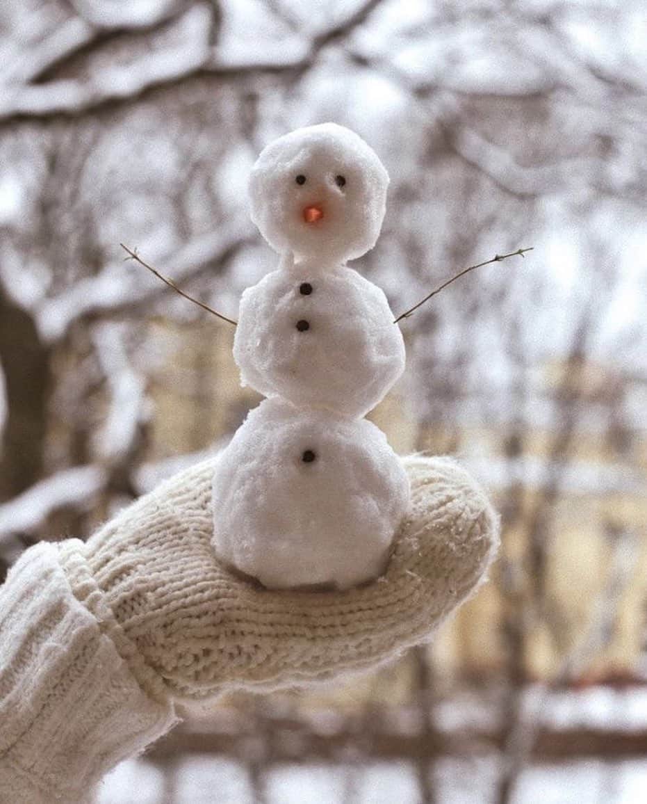 エミ・レナータさんのインスタグラム写真 - (エミ・レナータInstagram)「Do you want to build a snowman? ❄️☃️」1月18日 19時44分 - emi_renata
