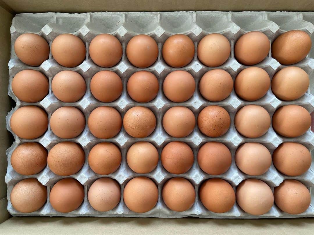 モハメド・ヨネさんのインスタグラム写真 - (モハメド・ヨネInstagram)「#田中農場　の美味しい卵 #安心安全 #うまい卵  #半熟に焼いた目玉焼きが一番好き  未来ある子供達には体に良い物を食べて欲しい。 そして美味しい物を知って欲しい。  親の願いです。」1月18日 20時33分 - muhammadyone