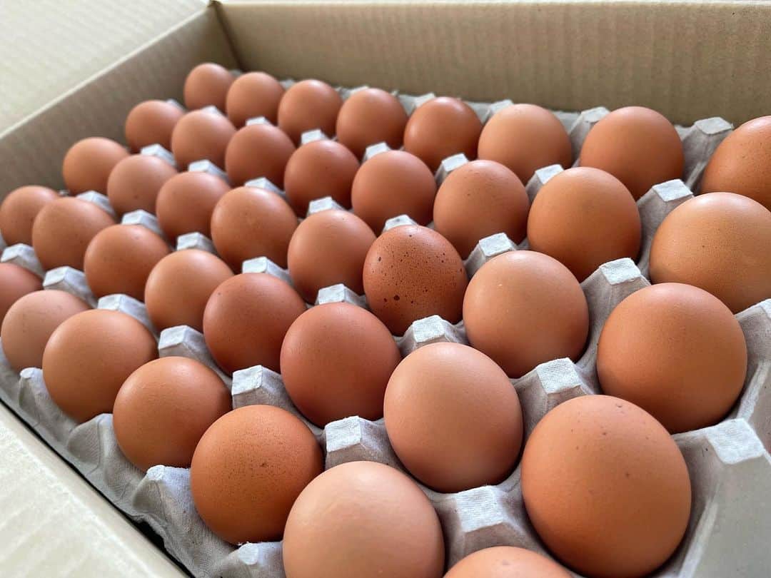モハメド・ヨネのインスタグラム：「#田中農場　の美味しい卵 #安心安全 #うまい卵  #半熟に焼いた目玉焼きが一番好き  未来ある子供達には体に良い物を食べて欲しい。 そして美味しい物を知って欲しい。  親の願いです。」