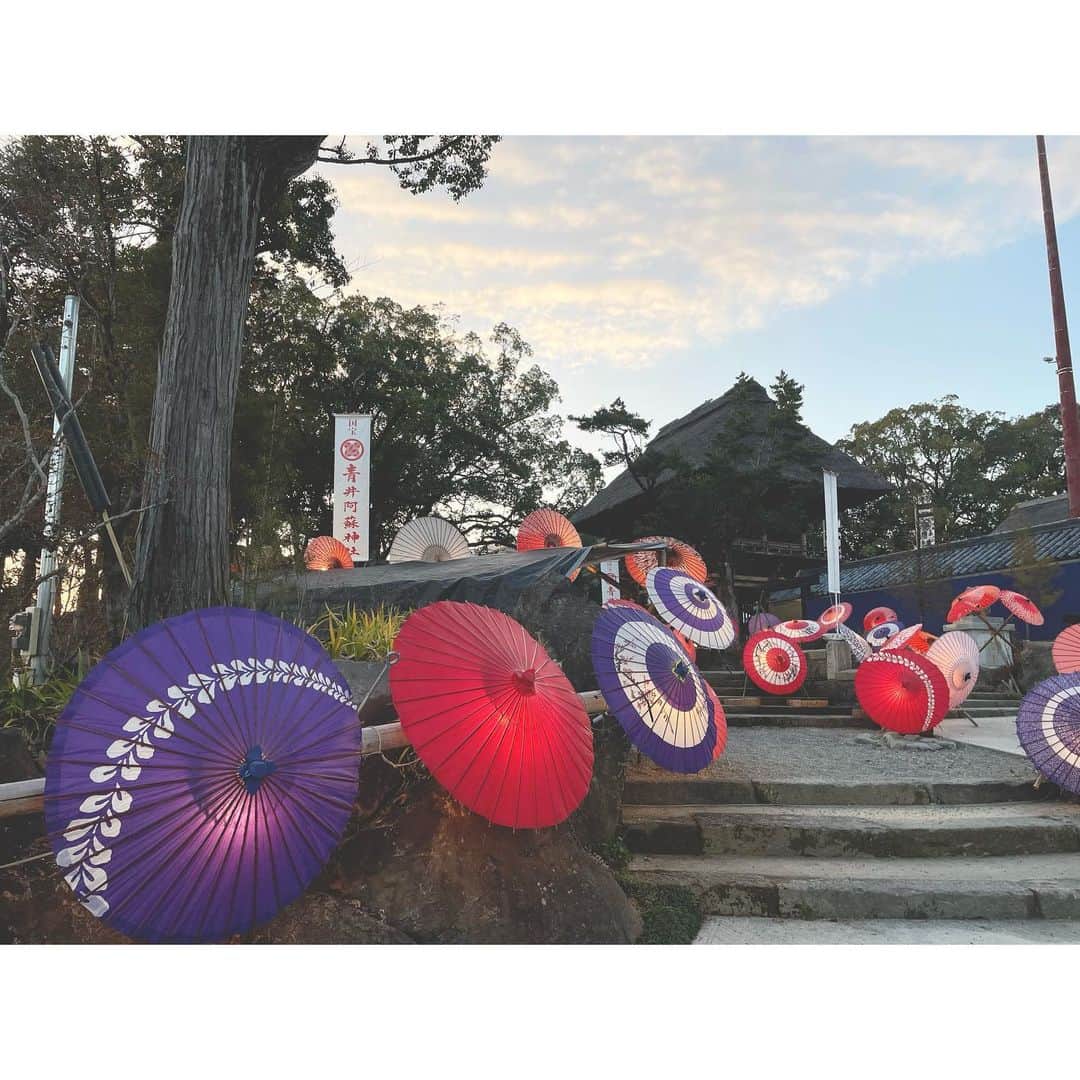 武田華奈のインスタグラム：「. 今年の初詣は水上村の祖父の家の近くにある青井阿蘇神社へ出かけました⛩ 階段の和傘が上品にお正月らしさを演出していて、参拝した時間が遅めだったのでライトアップも見られました☺️ . まずは、今年一年健康に過ごせることがなによりかなと思います😊 明日から3日間みっちり東京ロケ、体力を逆算しながら頑張ろう💪」