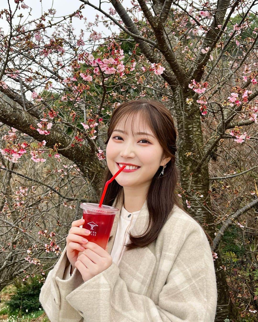 野村彩也子のグルメインスタ