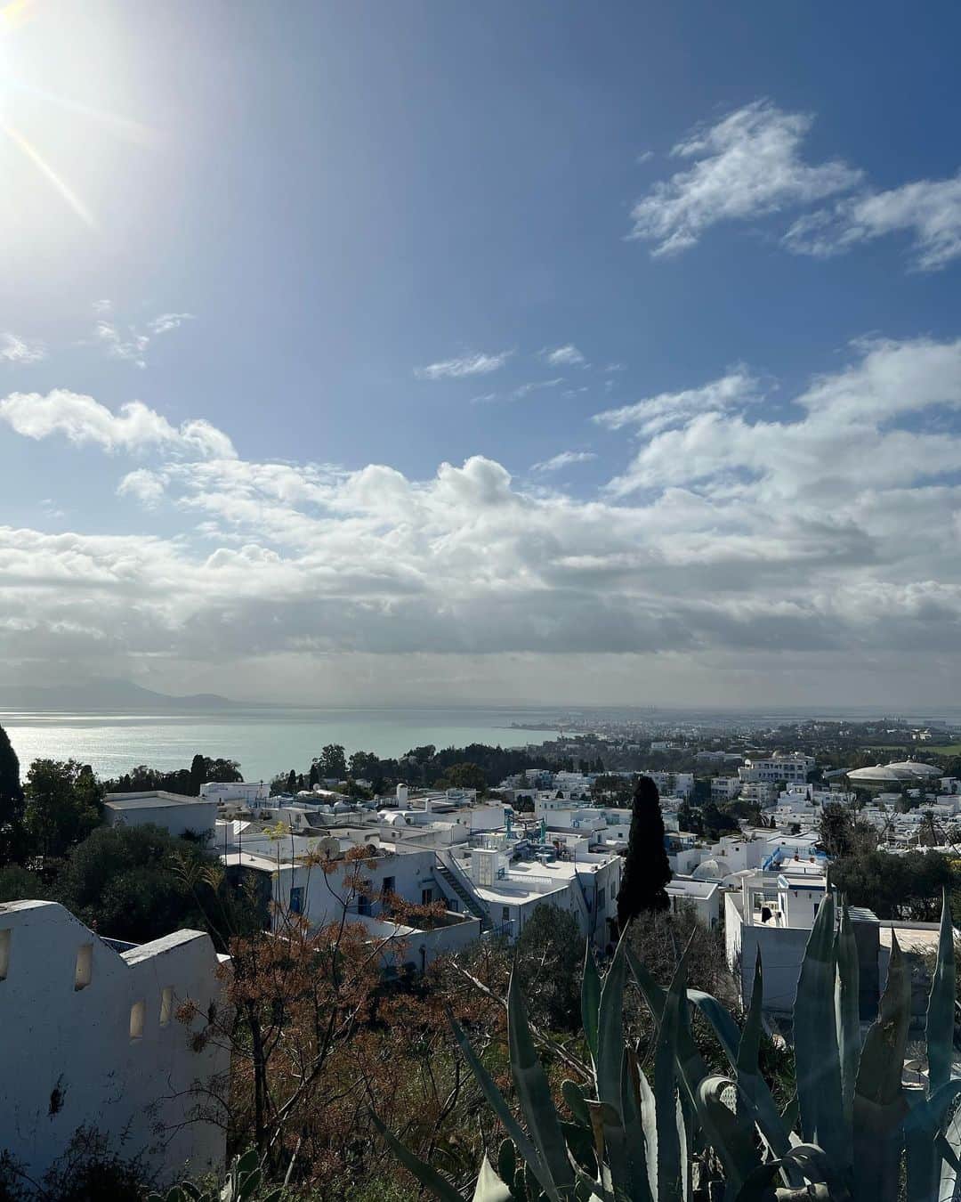 江村美咲さんのインスタグラム写真 - (江村美咲Instagram)「Fourth time in Tunisia, first time sightseeing🇹🇳 What a beautiful city ...🤍💙」1月19日 18時53分 - emura_misaki