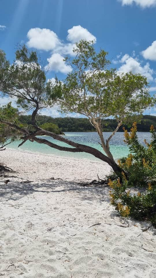 Angeline BLACKBURNのインスタグラム：「Throwback to family adventures on K'gari Island, QLD 👌🏽💛🌴  #k'gari #fraser #queensland #family #adventures #island #ocean #beach #lakemckenzie #love #throwback」