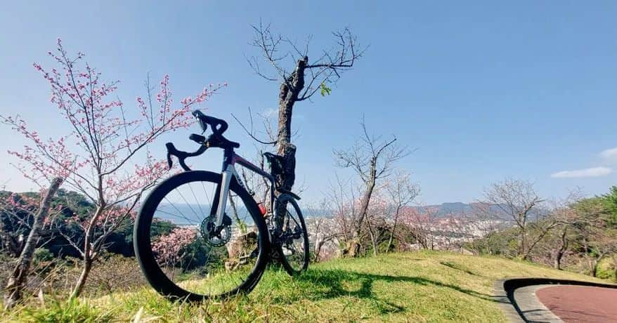 橋本英也のインスタグラム：「Sakura is coming🌸 #RP9 #RP8 #ULTEGRA #グリとグラ」