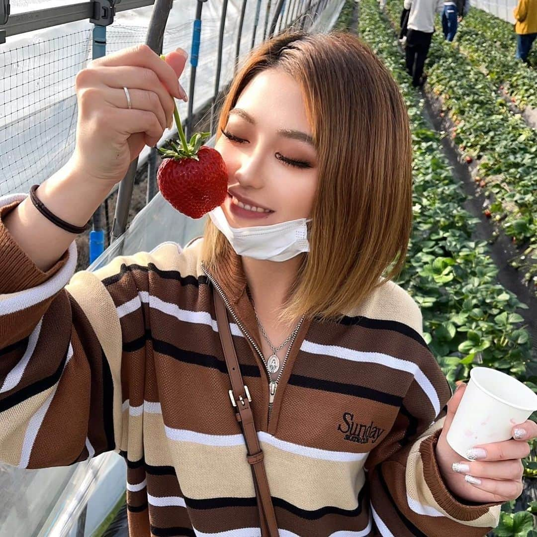 井出麗菜のインスタグラム：「いちご狩り🍓 ここのいちごすーごい大きくて甘かった🤍」