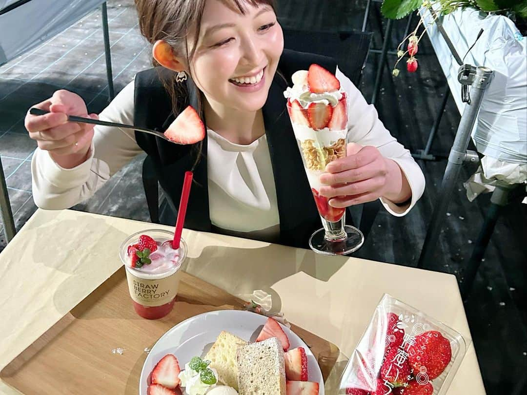 諸國沙代子のインスタグラム：「. ten.でいちご狩り中継🍓 #蜂蜜いちご の特徴は なんといっても糖度の高さ！ とっても甘くて、旨味も強くて、 ジューシーで、香りも最高！ めちゃくちゃ美味しくて幸せでした。 ストロベリーファクトリーの皆様 ありがとうございました！」