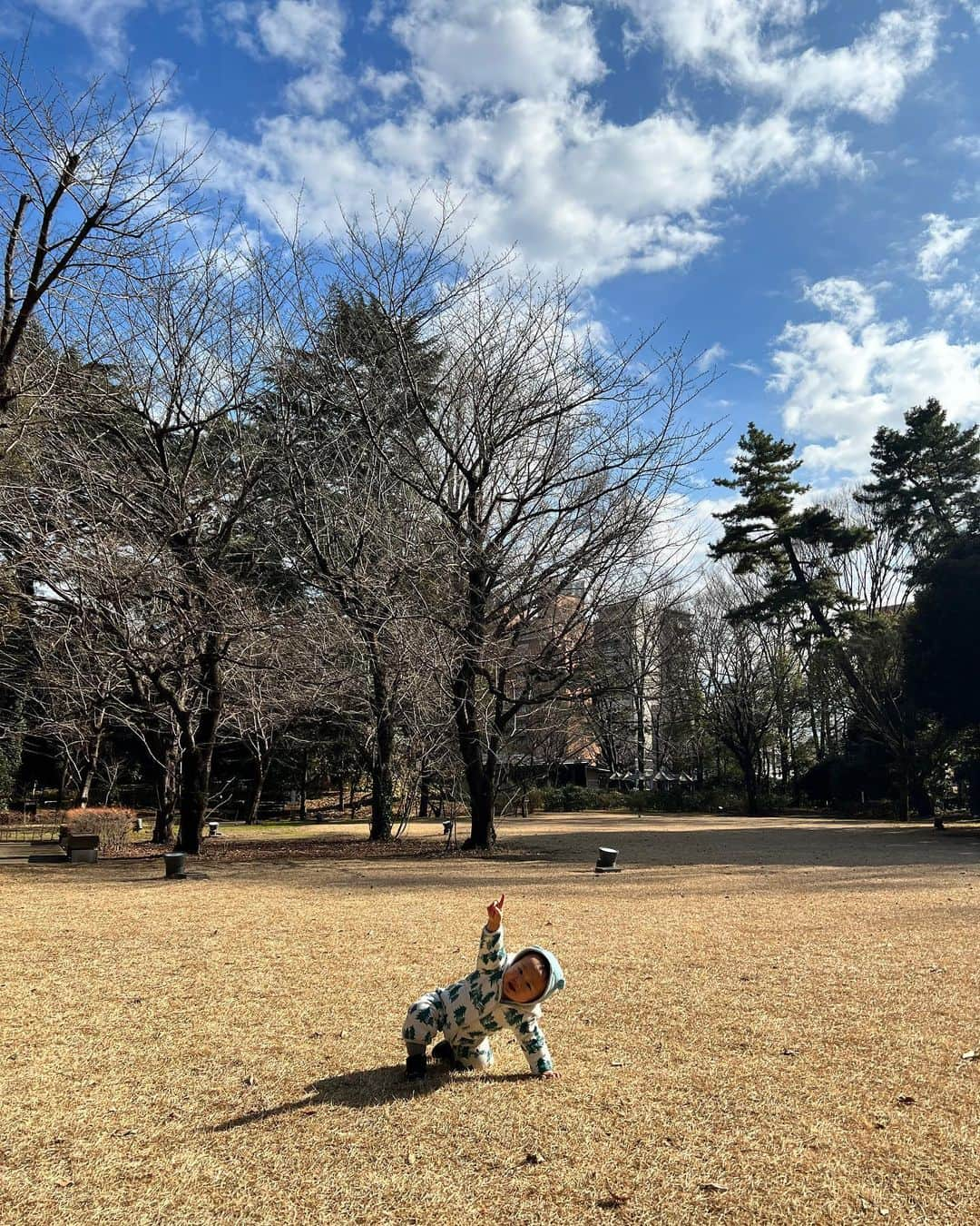 鈴木麻衣花さんのインスタグラム写真 - (鈴木麻衣花Instagram)「去年の1月4日に産まれたおチビが1歳になりました。 2人目の成長はほんとにほんとに早くて逞しくて、1人目程かまってあげられ無い事が良かったりかわいそうだったりしながら、結果うちの場合は強く逞しく育ってくれている気がしてます。 良く食べ良く動き良く笑う 今はただただ癒しの存在ですが、活発だった娘と比べて、それ以上の活発っぷり+女の子には無かった力強さや好奇心の強さにヒヤヒヤする事も多々。 男の子のママは大変そうだな〜 なんてぼんやり思っていたことが、他人事ではなくなってきました。笑 お誕生日当日は帰省中だったので、出発前に慌てて詰め込んでいた家にあった飾り物とお友達から頂いていたスタイ（まあこちゃんありがと♡）、あとは水切りヨーグルトとパンケーキでささっと作ったケーキでスマッシュケーキと、前日に到着する様にお願いしていた一升餅を背負ってもらって選び取りカードをして、なんとか一歳のお誕生日を娘の時と同じ様にできたかな。 あ、あとはカメラマンさんに記念撮影してもらいたいと思ってたんだった！←こういう「あっ！」と思い出す事が増えました。 転んで歯をぶつけて血を垂らして病院へ駆け込んだり、新生児期に家族全員コロナに感染してしまったり（おチビだけPCRをしていなかったけど何事もなく無症状でした）ベッドから落ちたり、よじ登っていた椅子から落ちたり… すでに色んな恐ろしい思い出が沢山ありますが、どうか何事もなく元気に育ってほしいです♡ #1歳男の子#一升餅#スマッシュケーキ」1月19日 14時24分 - maika0321