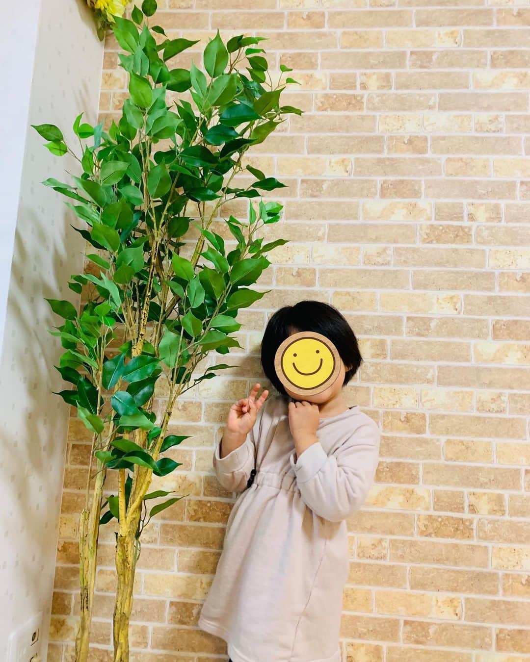 横山愛子のインスタグラム：「お家に少しずつ【緑】を🌿🌱  本当は本物の観葉植物を置きたいけれど、育てられる自信なくて💦 もう少し心と時間に余裕ができたら、買ってみようと^ - ^  なので全部フェイクグリーンだけど😂 部屋が明るくなったし、目線に緑がはいると、気持ちもリラックスできる！気がする笑  #フェイクグリーン　#ニトリ購入品  #ダイソー購入品  #seria購入品  #DIY #2歳差育児　#ホリプロ #横山愛子　#プレママ　#子供のいる暮らし」