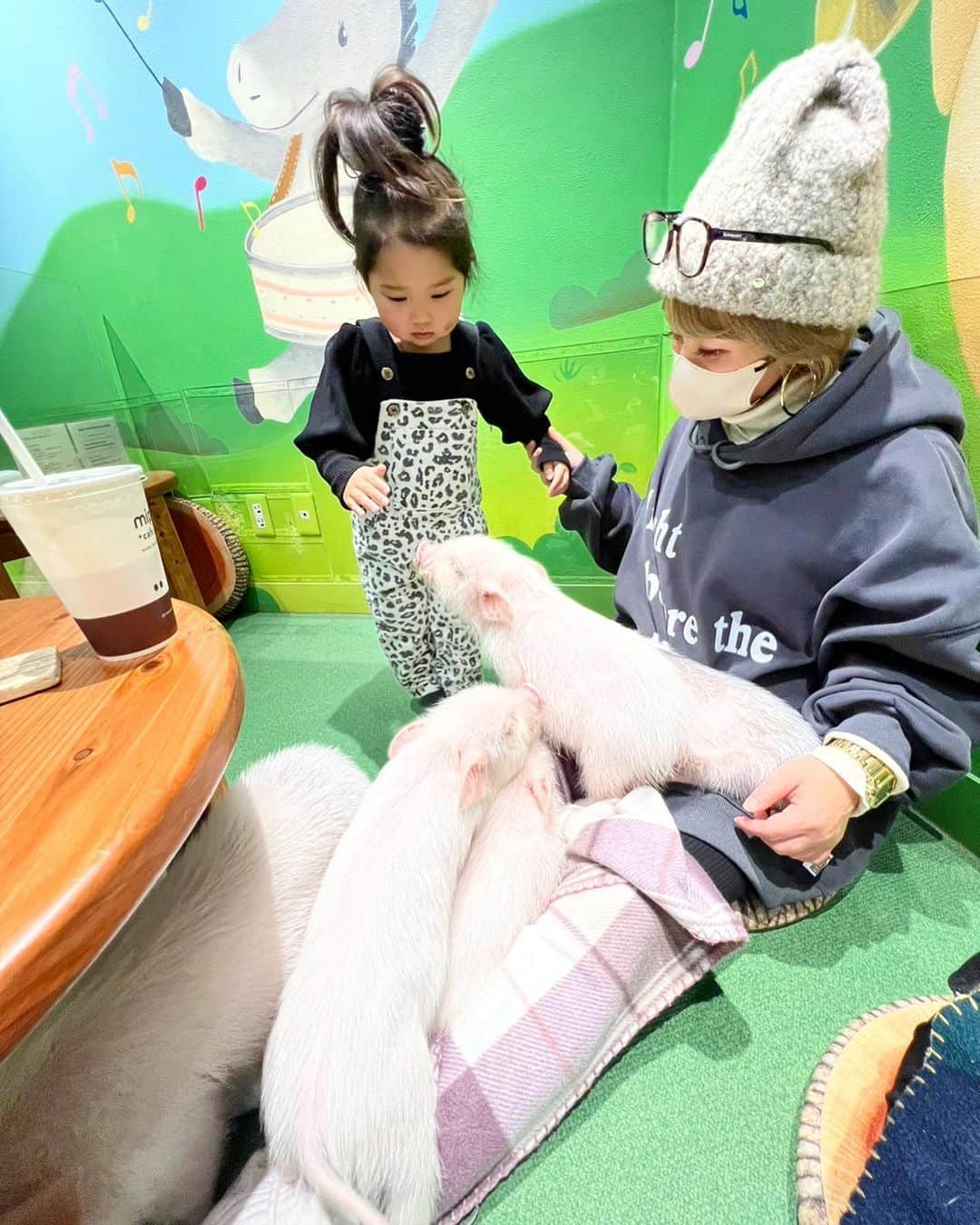宮下美恵のインスタグラム：「#いつかの #豚カフェ  初の豚カフェ🐖☕️ 長女に誘われて♡ 確かに可愛い❤️❤️❤️ 豚さんってこんなに懐くの早いんだね👏😍😍  個人的には猫カフェより 癒された♡  けど、りったんはちょっと違ったらしい😂予想外に一人だけ楽しんでなかった😂 ブヒブヒうるさいからかしら🐷😂👏  #初体験#豚カフェ#子豚#豚」