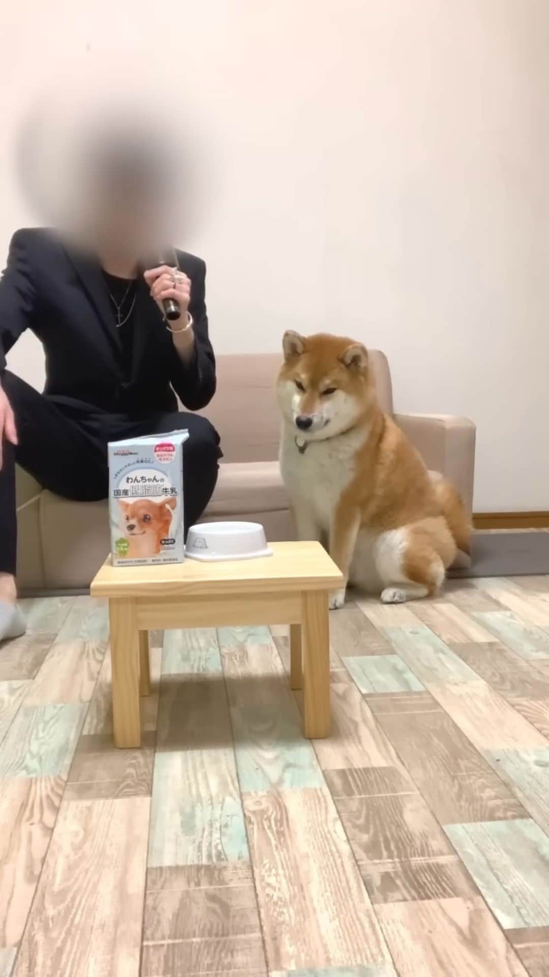 和風総分家のインスタグラム：「犬とホストごっこした1日#short」