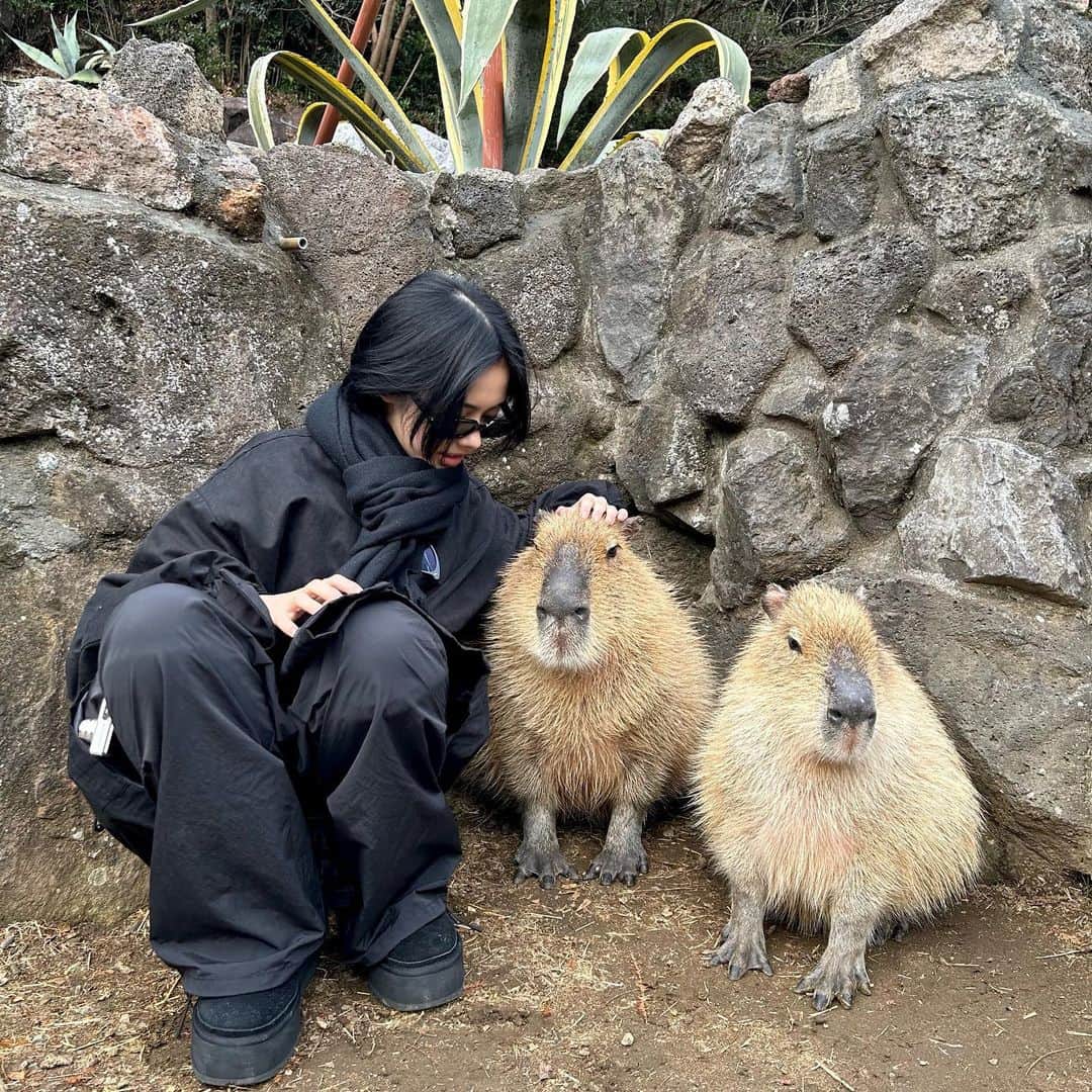 のインスタグラム：「⠀ 久しぶりのオフだった日に 私の趣味である植物と、好きな自然と動物に触れ合ってきました。  今もお家に沢山ある中に、3つ仲間入りしました‪🌱‬  久しぶりのオフだった日に沢山パワーを貰えた気がするなぁ  という日記でした。  おやすみなさい」