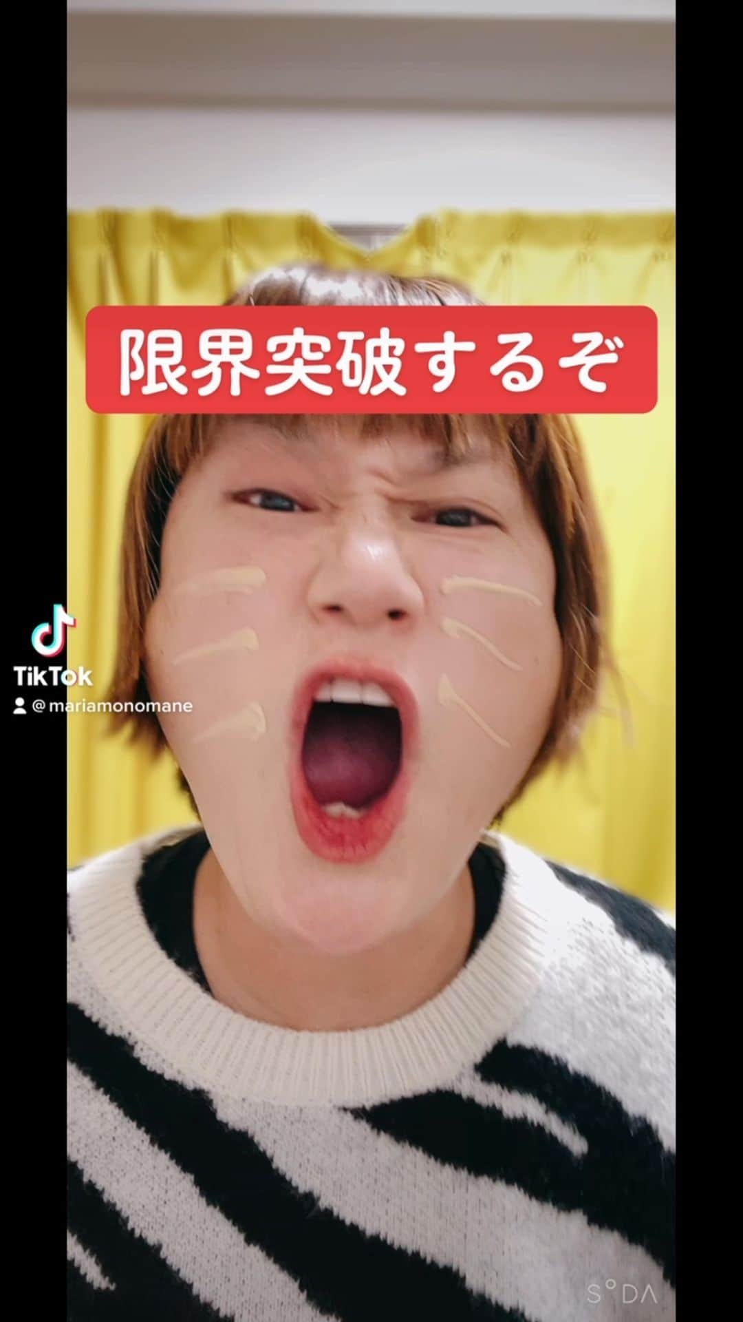 イーちゃんのインスタグラム