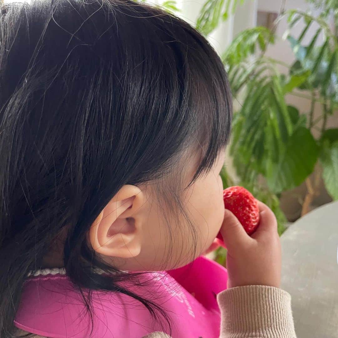 横地尚子さんのインスタグラム写真 - (横地尚子Instagram)「🍓🍓creamy strawberry tart🍓🍓  限界苺タルト🍓🍓🍓🥧🥧☺️ とりあえず埋め尽くした感w  空気のようになくなっていきました。  …何かあったような気がしたんだけど…書きたかった内容忘れてしまった🧏‍♀️」1月19日 22時40分 - yocochiin