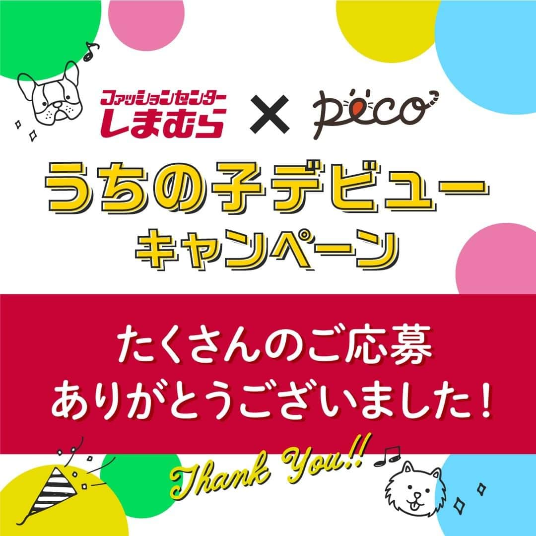 PECOねこ部さんのインスタグラム写真 - (PECOねこ部Instagram)「【しまむら×PECO　うちの子デビューキャンペーン　ポスター掲示のお知らせ】 皆さま、たくさんのご応募ありがとうございました！ 現在、選ばれたペットたちのポスターがしまむら店頭にて掲示中です！（2/20頃まで） ぜひ、お店に足を運んでチェックしてみてくださいね🔍 . . しまむらではペットにも使える可愛いアイテムが多数揃っています♪ Instagramで #しまむらとうちの子 を検索して、キャンペーンの応募写真を参考にしてみてください✨」1月20日 13時00分 - pecocats