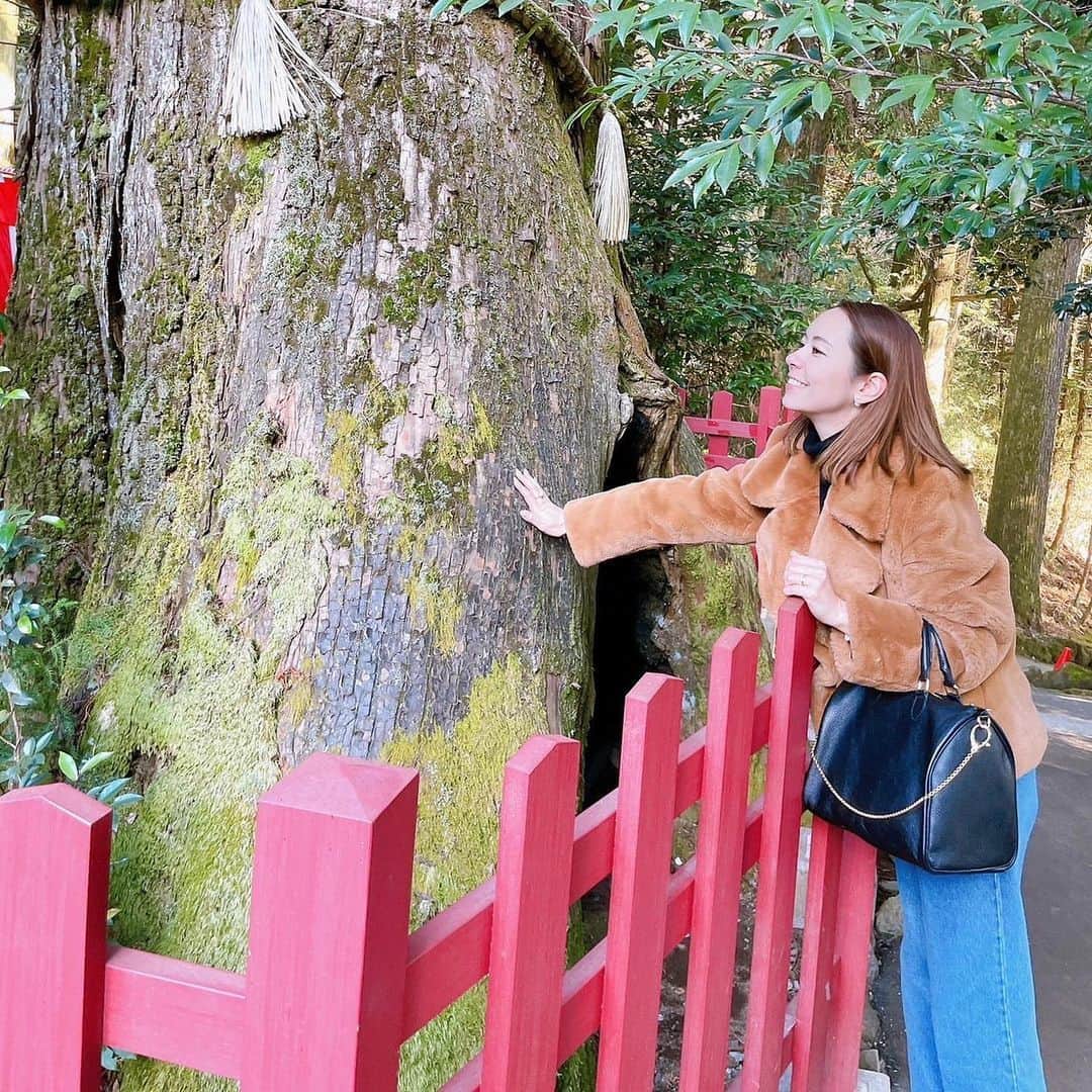 鮎河ナオミさんのインスタグラム写真 - (鮎河ナオミInstagram)「Birthday trip to Hakone⛩ 『富士屋ホテル』とっても素敵なホテルでした✨」1月20日 11時11分 - naomiayukawa