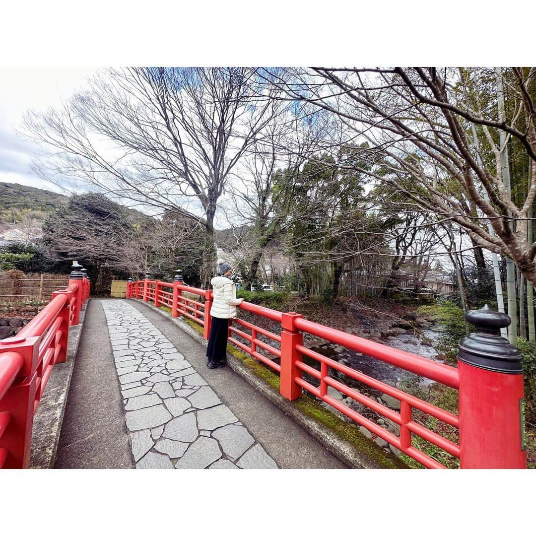 渡辺知夏子さんのインスタグラム写真 - (渡辺知夏子Instagram)「♨️修善寺♨️ . . . ほぼ毎日更新している オンラインサロンでは、私の日々の色々、料理や美容、買ったものや、旅行、愛犬、ダイビングや自然、オススメなどほぼ毎日アップしています✨ コメントや質問なども受け付けております😄 皆さんとお話しできるのを楽しみにしてます☺️ 今年から更に、ご利用しやすくなっていますので是非チェックしてみてください☺️💙 . ストーリーから入会フォームにとべます✨ . お待ちしておりまーす🐠🌺🌴🌞🐬 . https://lounge.dmm.com/detail/5216/ . . . #修善寺 #温泉 #伊豆旅行  #竹林 #修善寺温泉  #修善寺グルメ  #あさば #オンラインサロン」1月20日 11時59分 - chikako_724