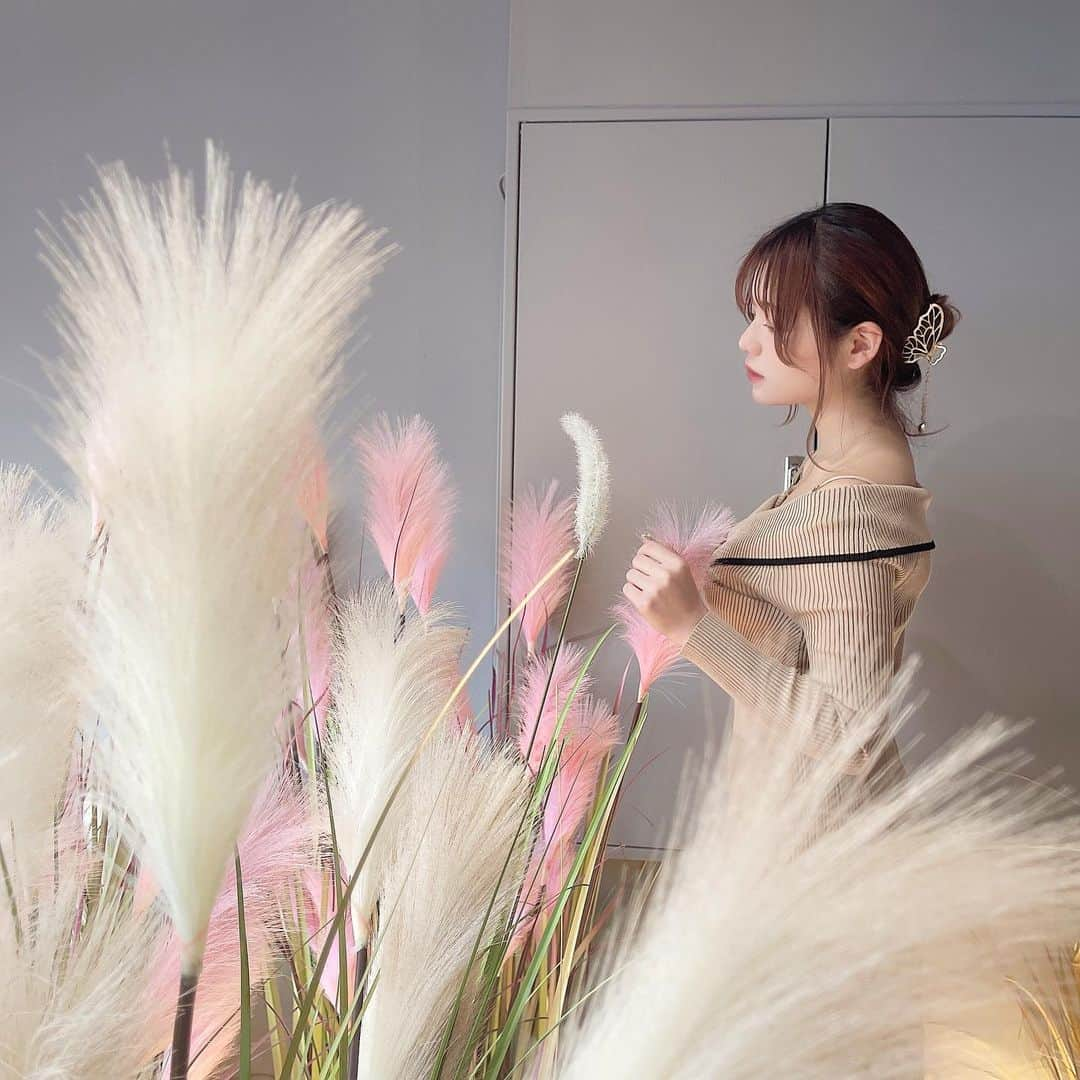 大橋あかりのインスタグラム：「🌾🌾  蝶々のヘアクリップお気に入りɛïɜ」