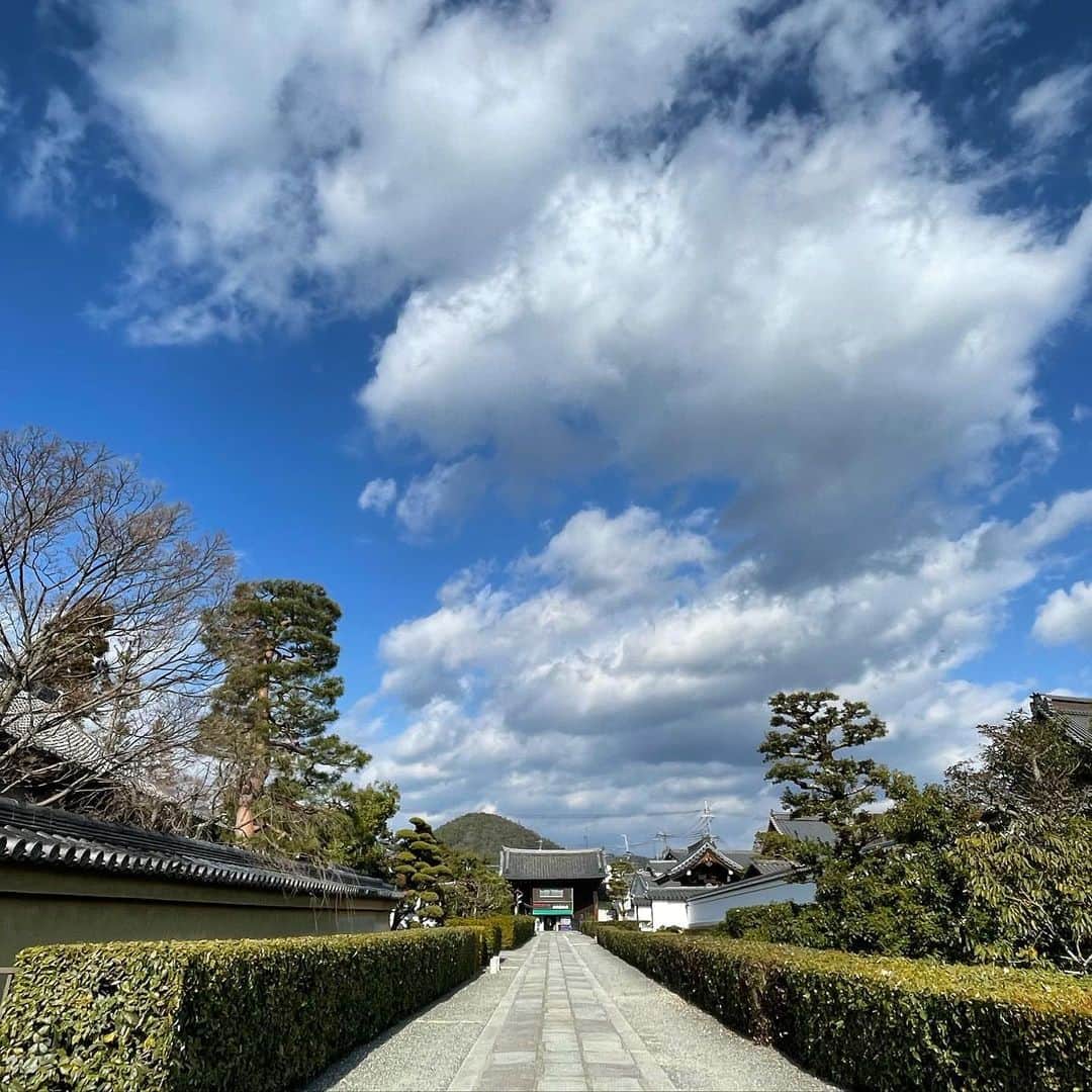 園崎未恵さんのインスタグラム写真 - (園崎未恵Instagram)「いい天気。 雲の流れが速くてずっと見ていられる……  自分の内側を観る時間も必要だよね、と常々思ってはいるけど、中々ゆっくりとは行かないこの頃です。  #妙心寺さんぽ  #おかげさまフォト」1月20日 21時52分 - miemiemie0207