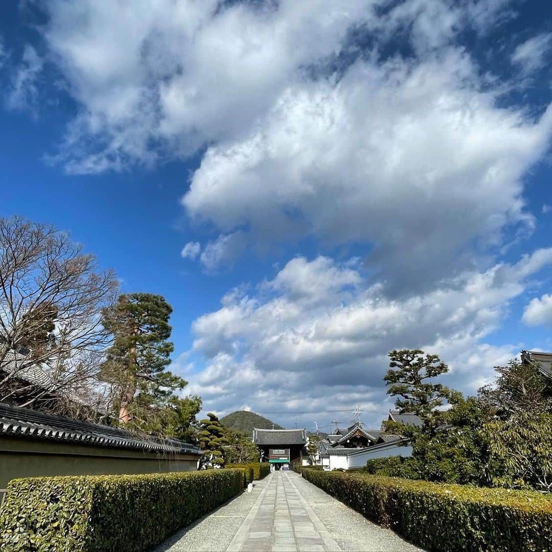 園崎未恵のインスタグラム：「いい天気。 雲の流れが速くてずっと見ていられる……  自分の内側を観る時間も必要だよね、と常々思ってはいるけど、中々ゆっくりとは行かないこの頃です。  #妙心寺さんぽ  #おかげさまフォト」