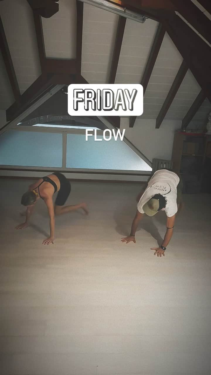 フィービー・ダールのインスタグラム：「Come join for a Fun flow in Venus, Gustavia on thursdays ✌️   #mobility #coordination #flexibility #stability #strength #power #endurance #precision #fullrangemotion  #FlowOfTheDay #sbh #stbarth #stbarths #animalflow #animalflowsbh #animalflowstbarth #animalflowstbarths #flowsbh #flowstbarth #flowstbarths #fitnesssbh #yoga #yogasbh #yogastbarth #yogastbarths」