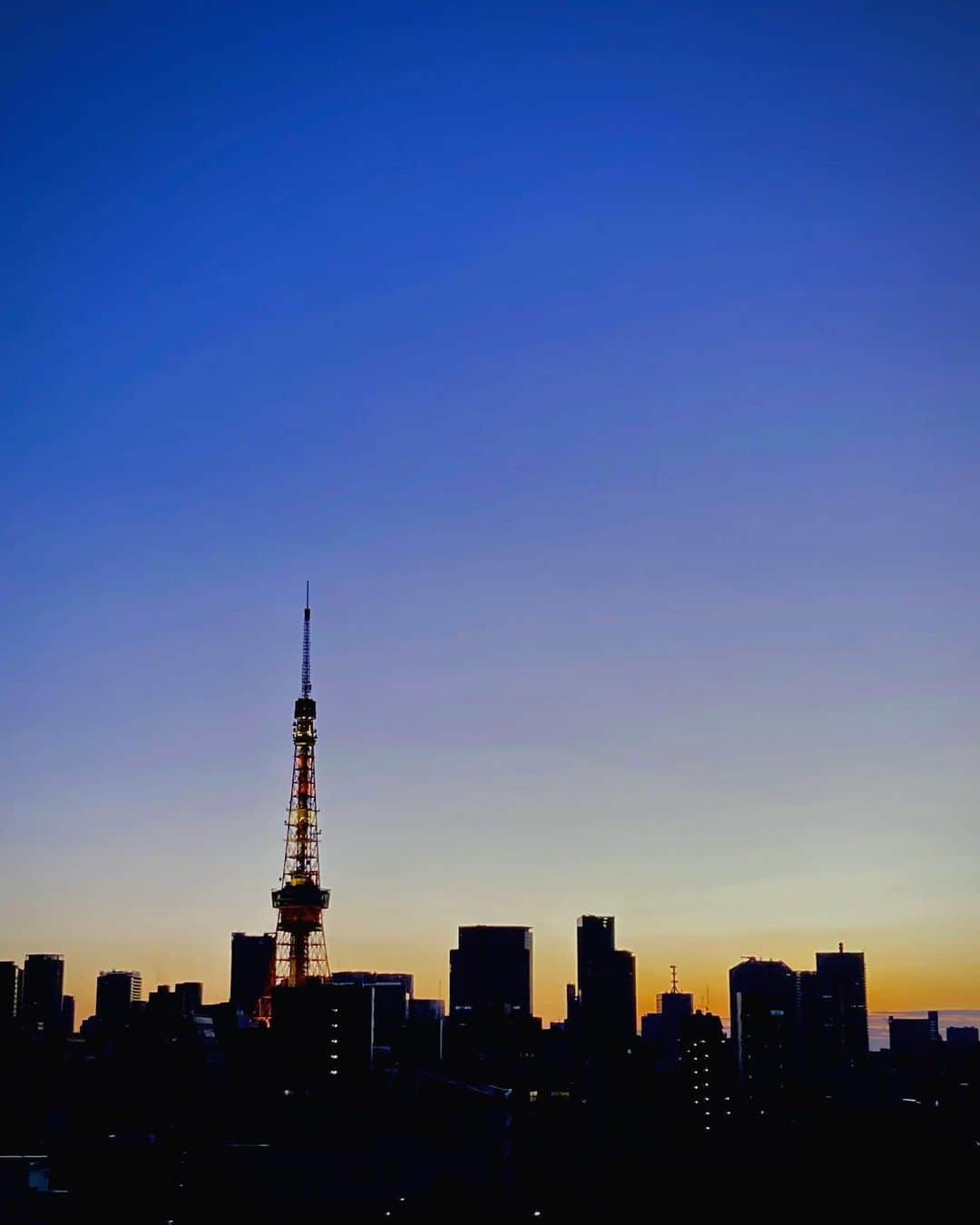 野村真季さんのインスタグラム写真 - (野村真季Instagram)「朝6時30分 ニュース終わりで7階テラスにて。 これまで真っ暗だったのに、少しずつ日の出が早くなっていて、美しい朝焼けが見られました。 寒さはこれからが本番ですが、春に向けて少しずつ季節が進んでるのだなぁ…と思った朝でした。  #朝焼け  #六本木  #東京タワー」1月21日 6時48分 - masaki__nomura