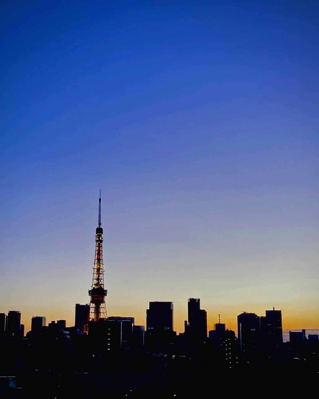 野村真季のインスタグラム：「朝6時30分 ニュース終わりで7階テラスにて。 これまで真っ暗だったのに、少しずつ日の出が早くなっていて、美しい朝焼けが見られました。 寒さはこれからが本番ですが、春に向けて少しずつ季節が進んでるのだなぁ…と思った朝でした。  #朝焼け  #六本木  #東京タワー」