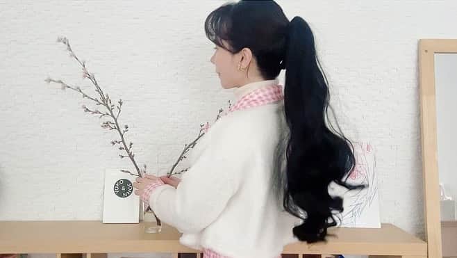水沢アリーさんのインスタグラム写真 - (水沢アリーInstagram)「買った桜が開花🌸💖 黒髪にして、1週間で飽きてもうスーパー金髪にしたいんだけど...私の頭皮と髪の毛が可哀想🤗 あと @spica_akemi ごめんw🤣  #黒髪」1月21日 16時59分 - ally_mizusawa
