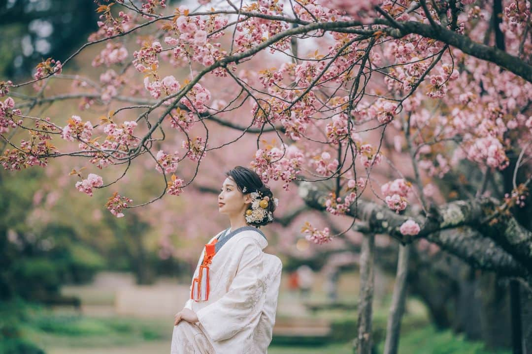 衣装館・フォトスタジオ ブランシェリーさんのインスタグラム写真 - (衣装館・フォトスタジオ ブランシェリーInstagram)「. ブランシェリーの桜ロケーションお陰様でご予約をいただいております！ 撮影場所、時期、衣装、ヘアセットメーク、撮影について詳しくご相談承っておりますのでお気軽にご相談ください！ 撮影もヘアセットメークもプロだから安心。一生に一度の大切なご記念だからたくさんのわがまま叶えちゃいましょう★ もちろんスタジオも連日大好評です!  もっとお写真が見たい方はコチラ⇒(@blancherie_iwata)🎵  #岩田写真 #blancherie #ブランシェリー #秋田県 #写真スタジオ #ブライダルフォト #全国の花嫁さんと繋がりたい #ウエディングフォト #フォトウェディング #ブライダルフォトブランシェリー #完全予約制 #写真だけの結婚式 #フォト婚 #婚礼写真 #プレ花嫁 #プレ花嫁さんと繋がりたい #秋田プレ花嫁 #2022結婚式 #令和4年婚 #卒花嫁 #結婚式 #和装婚 #ウェディングドレス #完全予約制 #フォトスタジオ #ブランシェリー盛岡 #盛岡スタジオ #盛岡写真館　#弘前フォトスタジオ」1月21日 10時32分 - blancherie_iwata