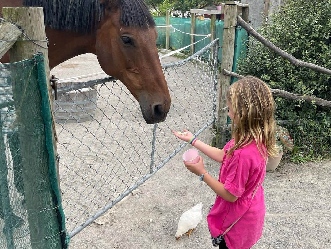 トニー・アゼベドさんのインスタグラム写真 - (トニー・アゼベドInstagram)「Last day in #marlboroughnz」1月21日 10時56分 - tonyazevedo8