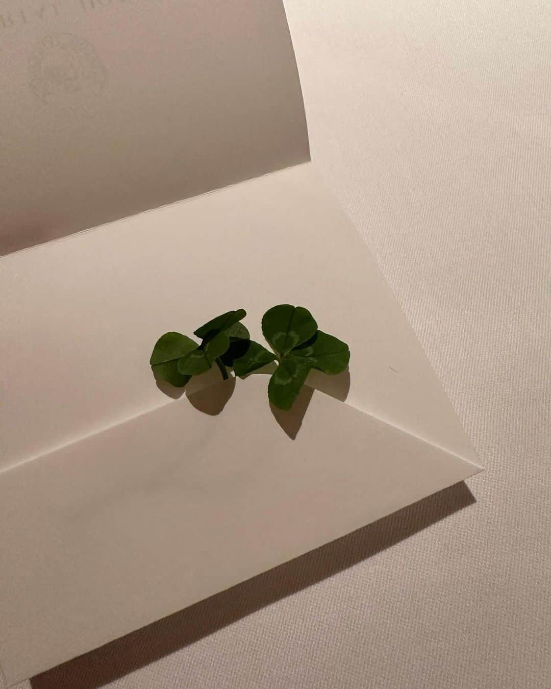 牧野結美のグルメインスタ