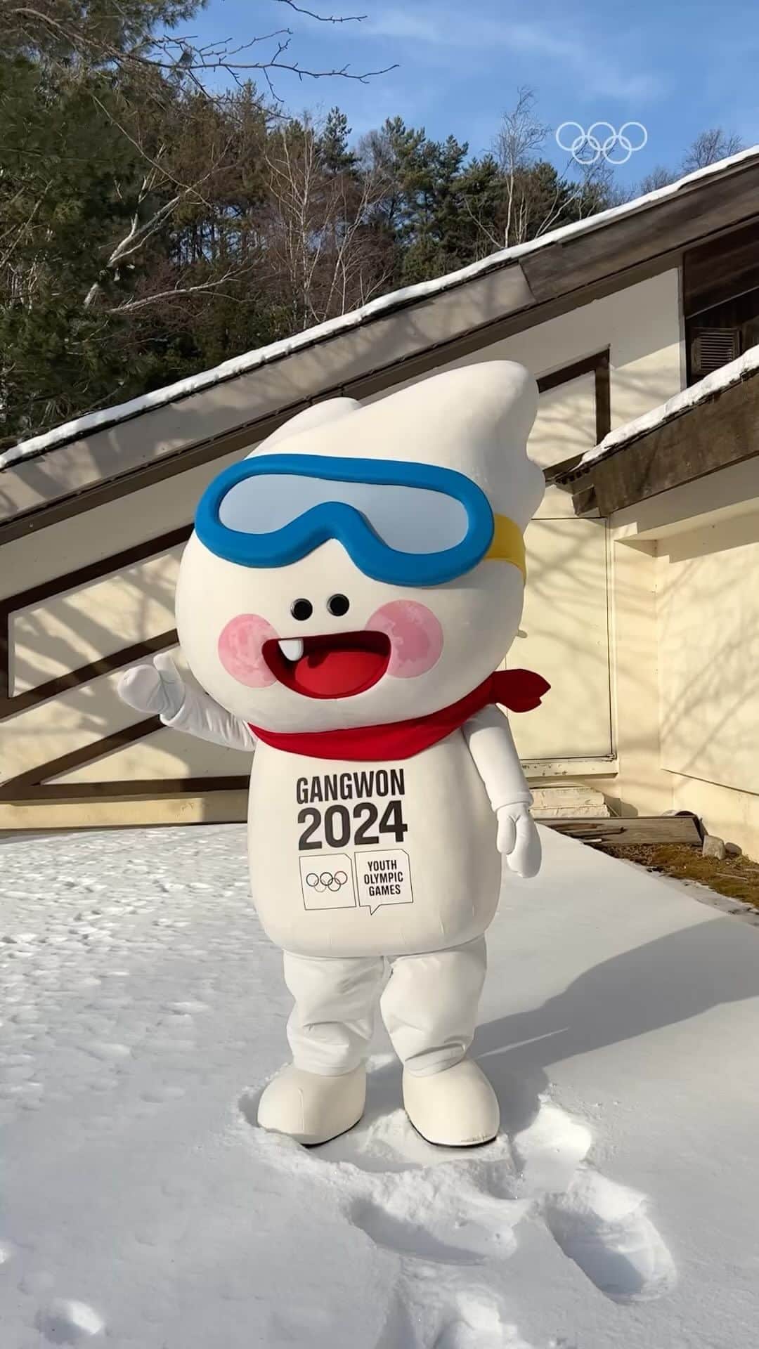 olympiadaのインスタグラム：「Прекрасных зимних выходных желает всем Мунчо, талисман Юношеских Олимпийских игр-2024!   #Gangwon2024」