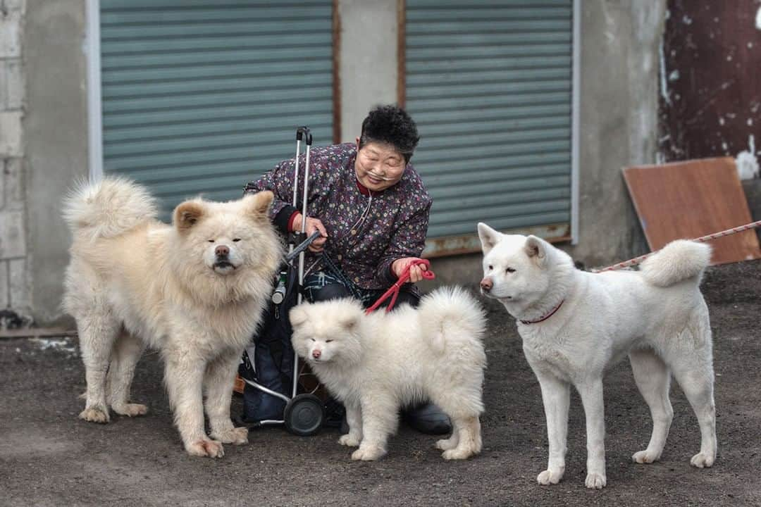 わさおのインスタグラム