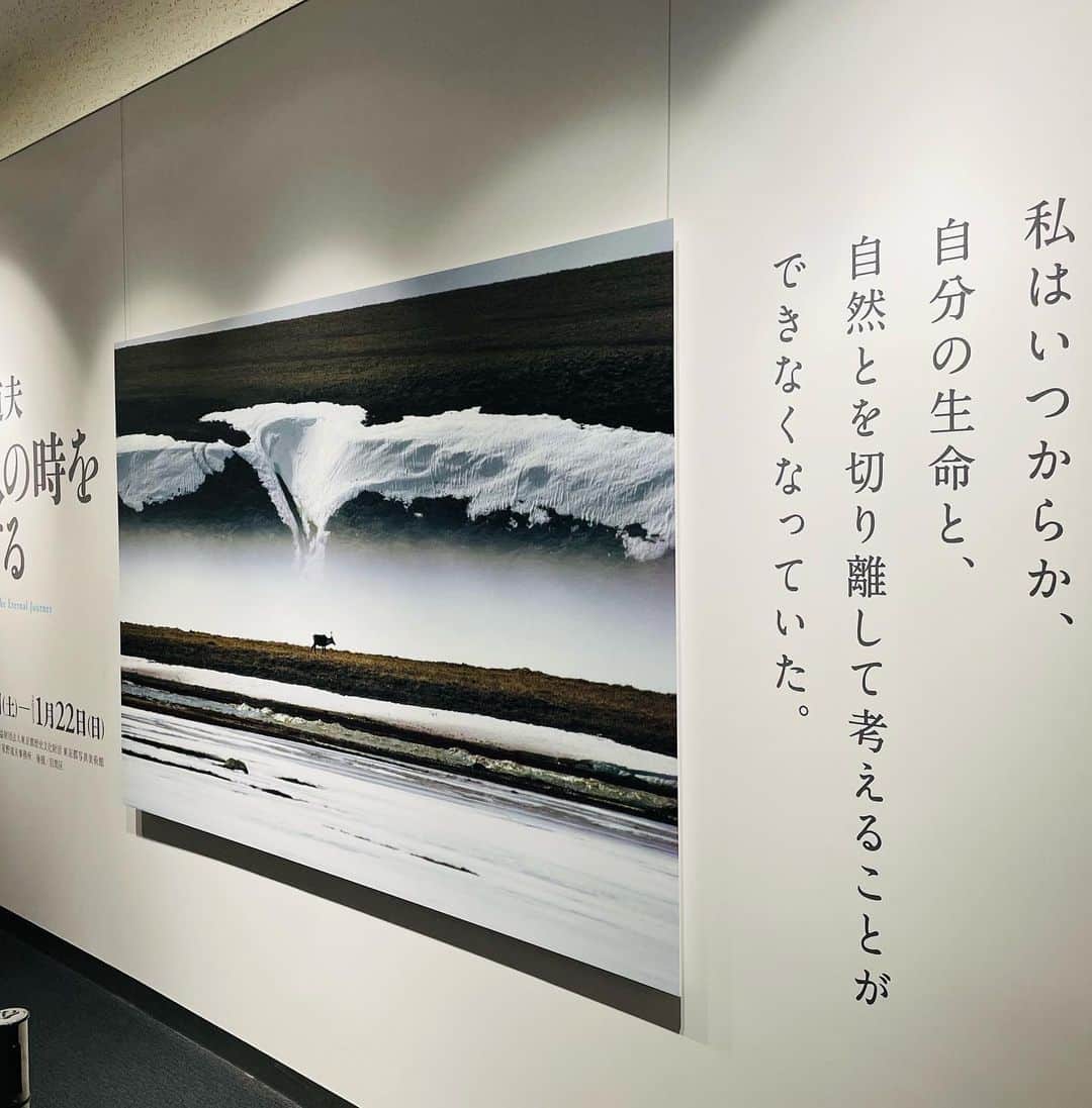 原沙知絵さんのインスタグラム写真 - (原沙知絵Instagram)「最終日に当日券で入れました。 とにかく行けてよかった！！😢 ゆっくり家で写真集を見返します。  #星野道夫 #悠久の時を旅する #アラスカ #東京都写真美術館」1月22日 11時55分 - harasachie